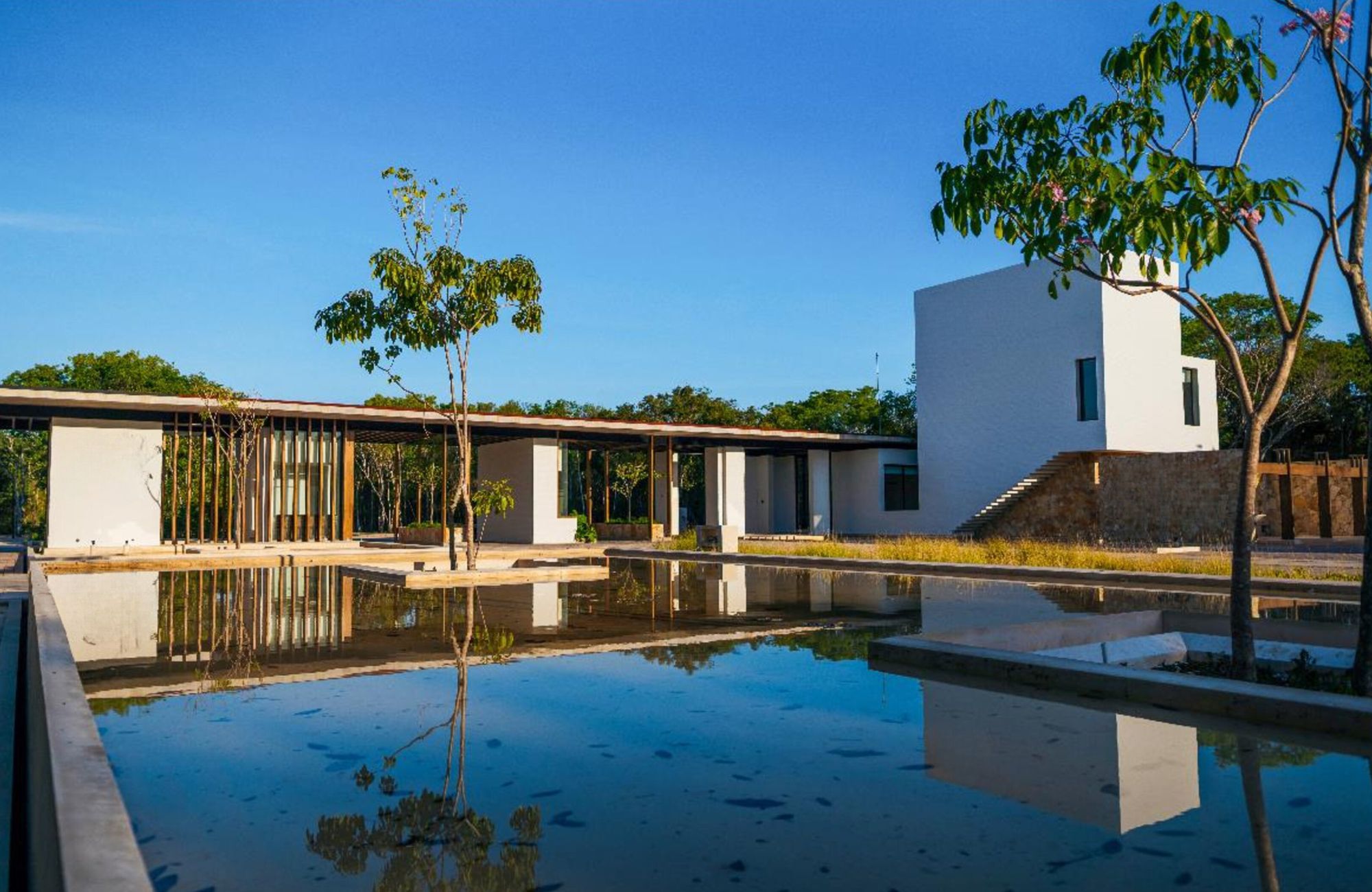 Lote de 494 m2, en residencial, con cenote, en venta Selvamar,  Playa del Carmen.