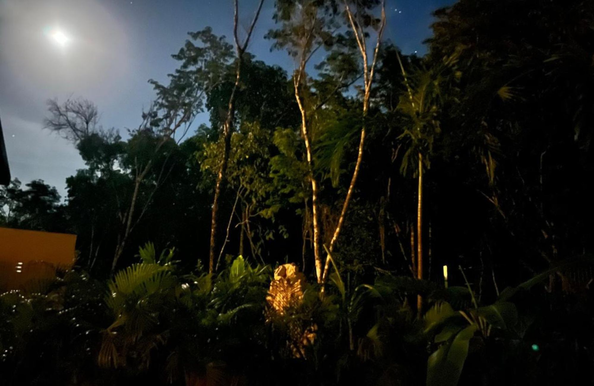 Land in a residential development with pool, spa, and cenote for sale in Region 11, Tulum.