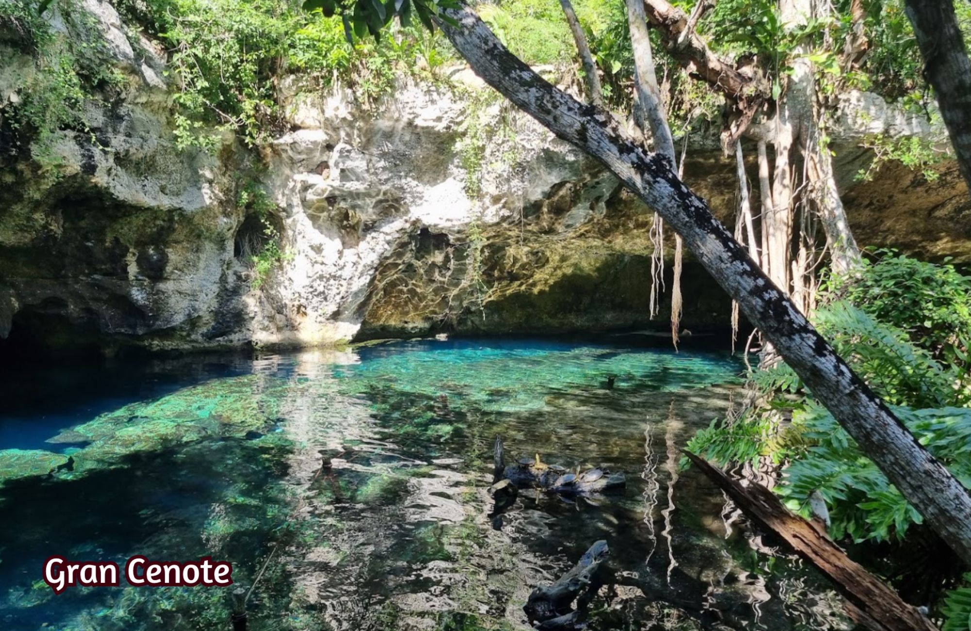 Land in a residential development with pool, spa, and cenote for sale in Region 11, Tulum.