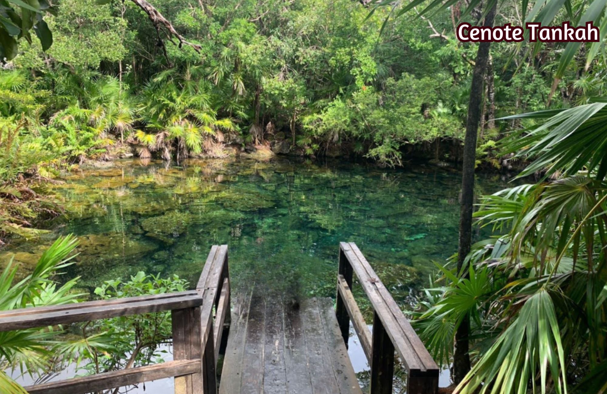 Land in a residential development with pool, spa, and cenote for sale in Region 11, Tulum.