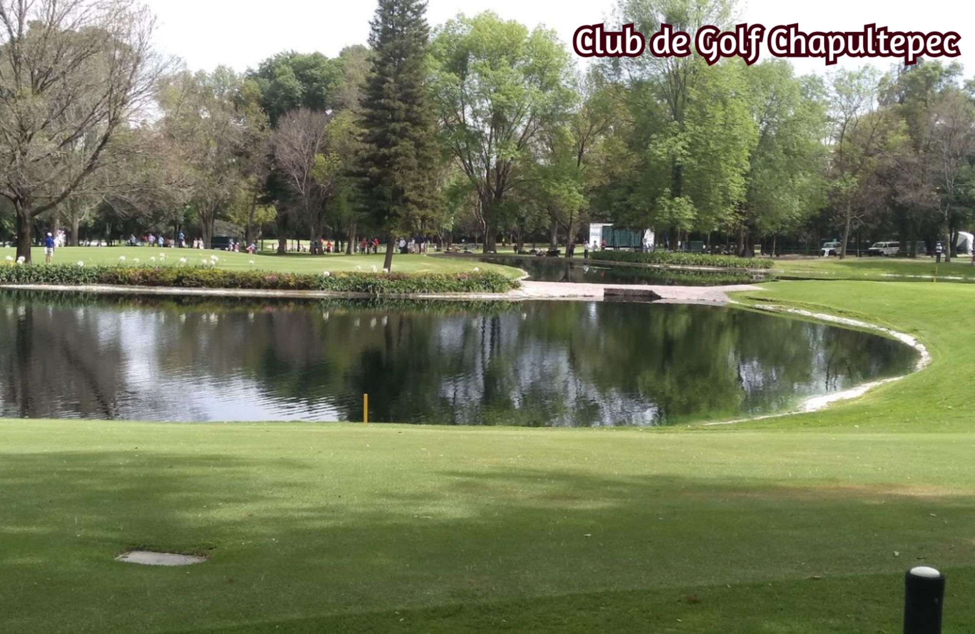 Penthouse, excelente ubicaci&oacute;n, en venta, Benito Ju&aacute;rez, Cdmx