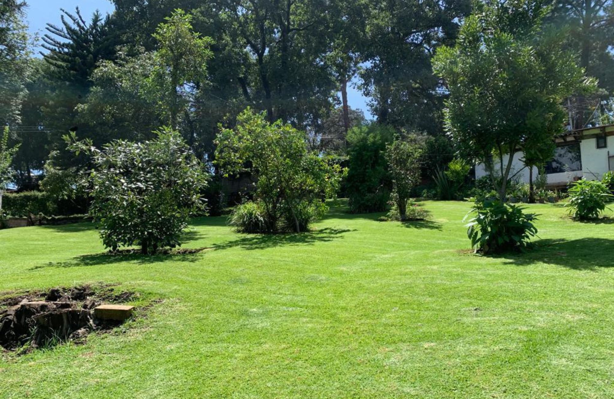 Residencia de alto nivel en venta en Bosques de las Lomas, CDMX