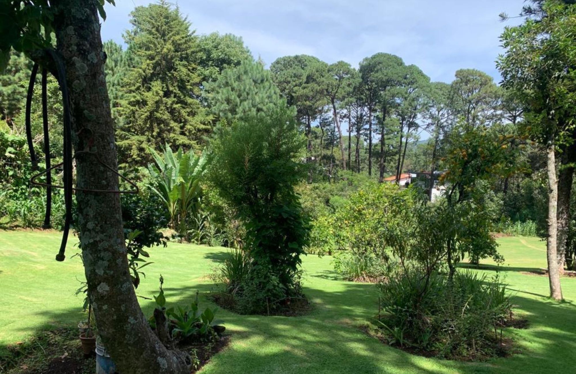 Residencia de alto nivel en venta en Bosques de las Lomas, CDMX