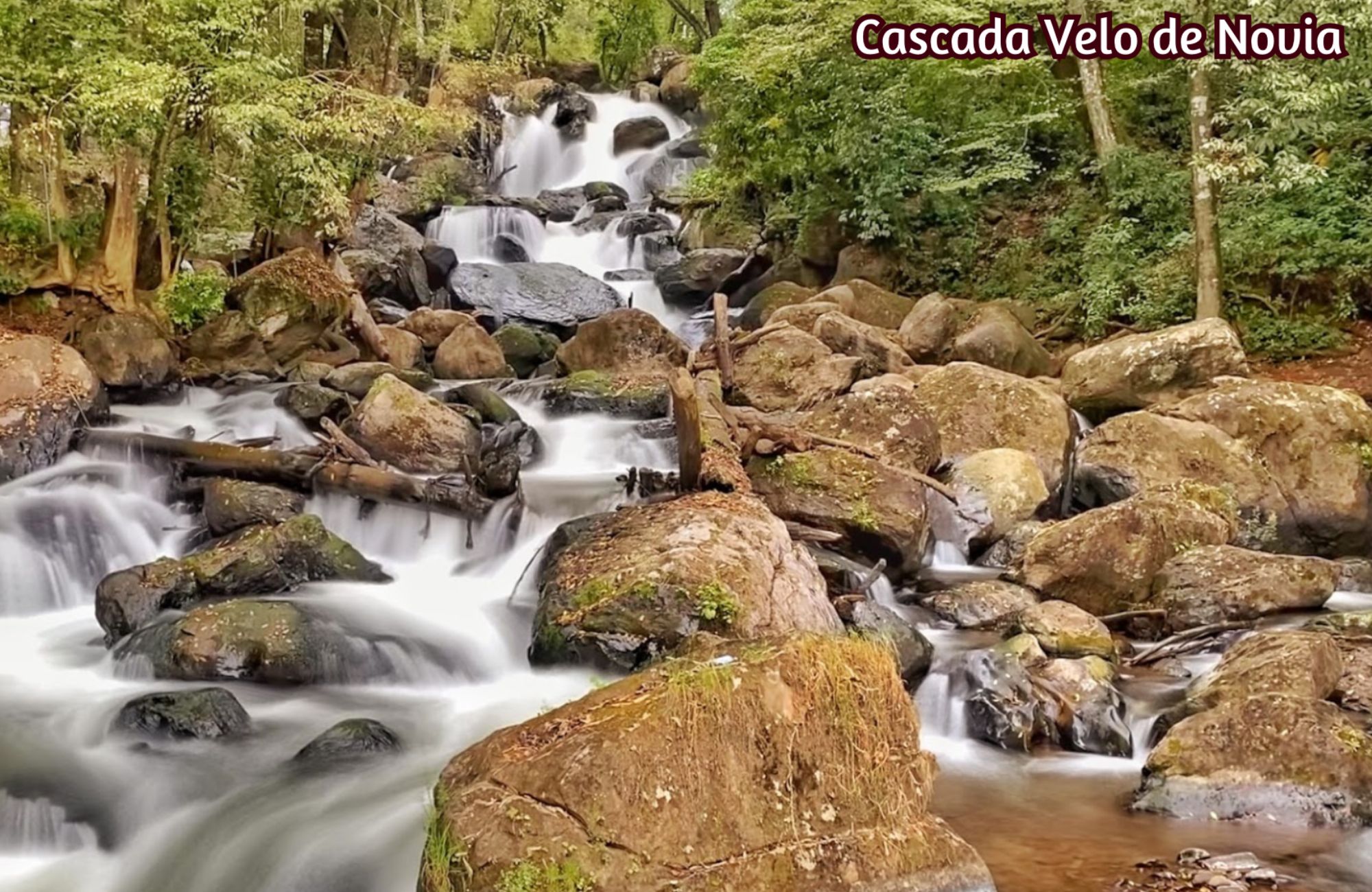 Residencia de alto nivel en venta en Bosques de las Lomas, CDMX