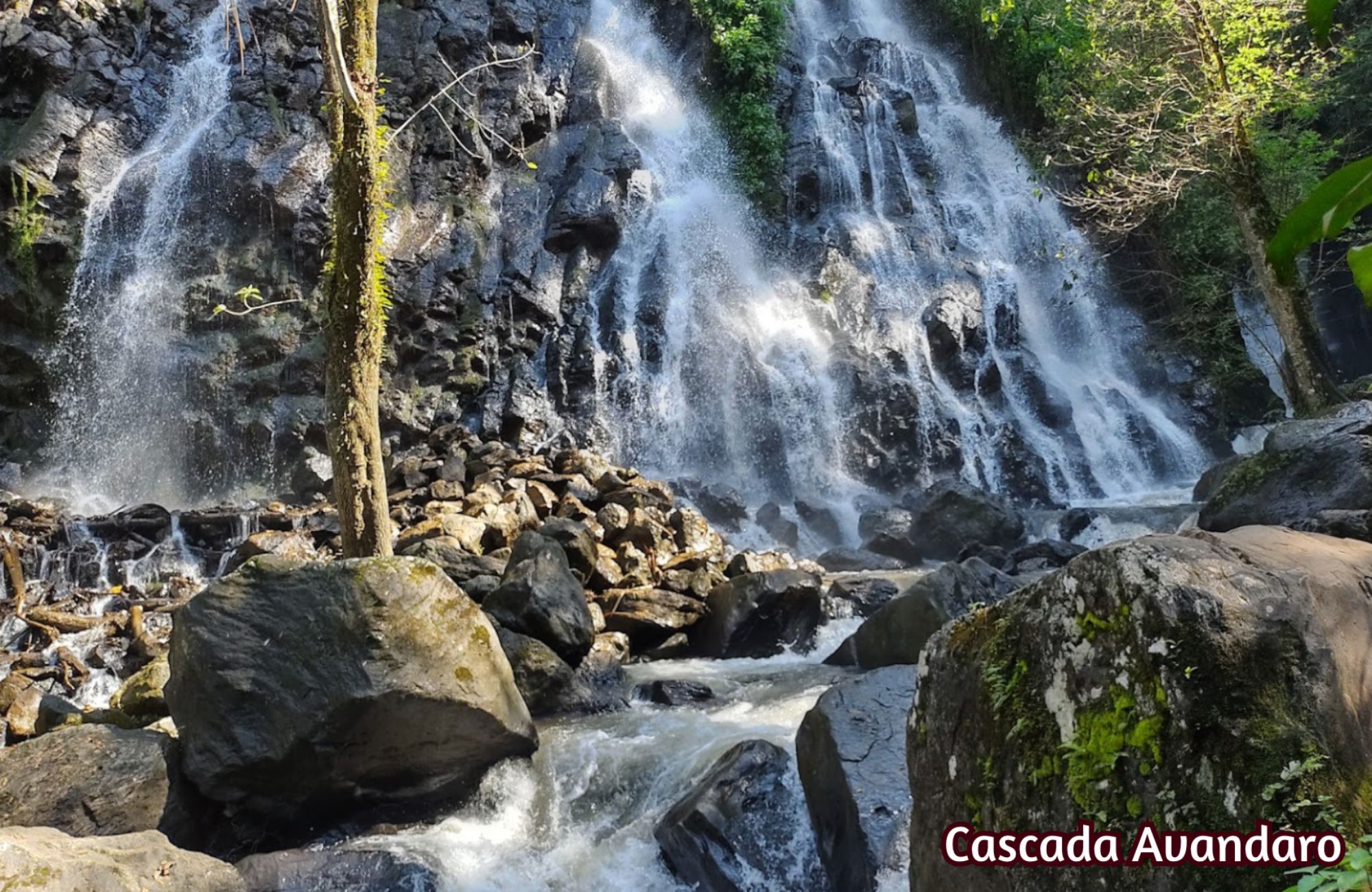 Residencia de alto nivel en venta en Bosques de las Lomas, CDMX