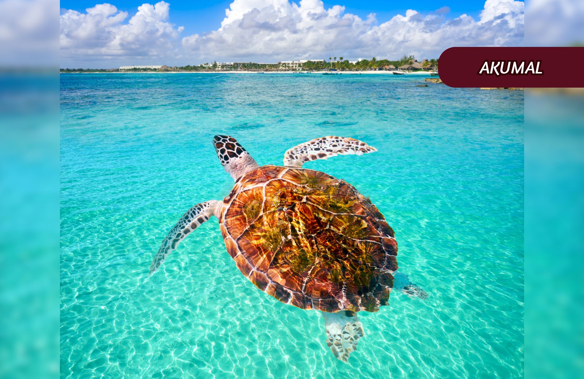 Modern condo with amenities, Tesla charger and dron for passengers