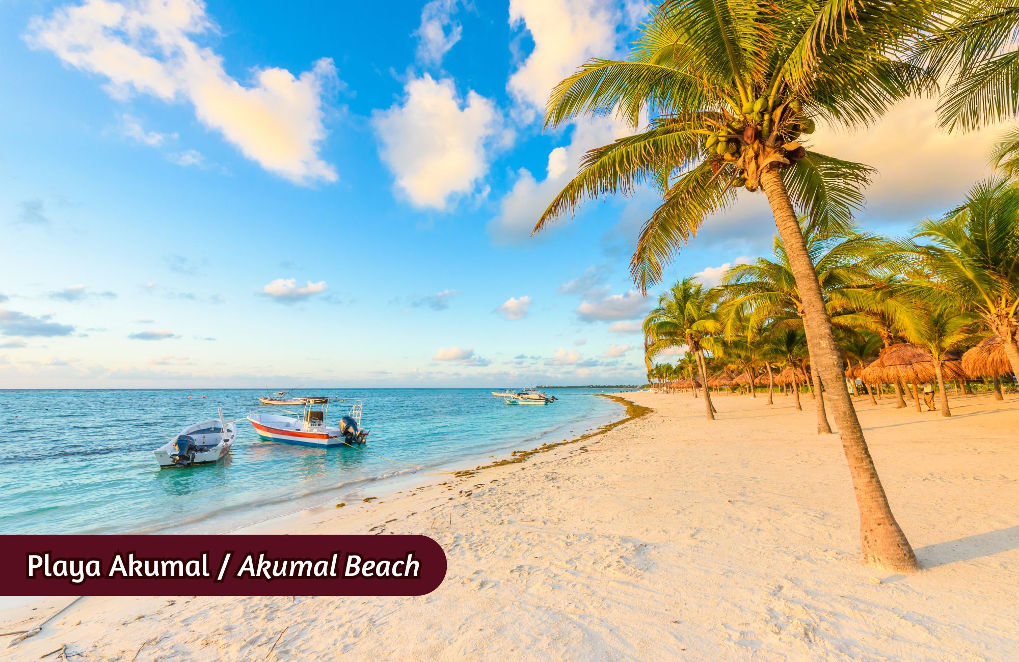 Modern condo with amenities, Tesla charger and dron for passengers