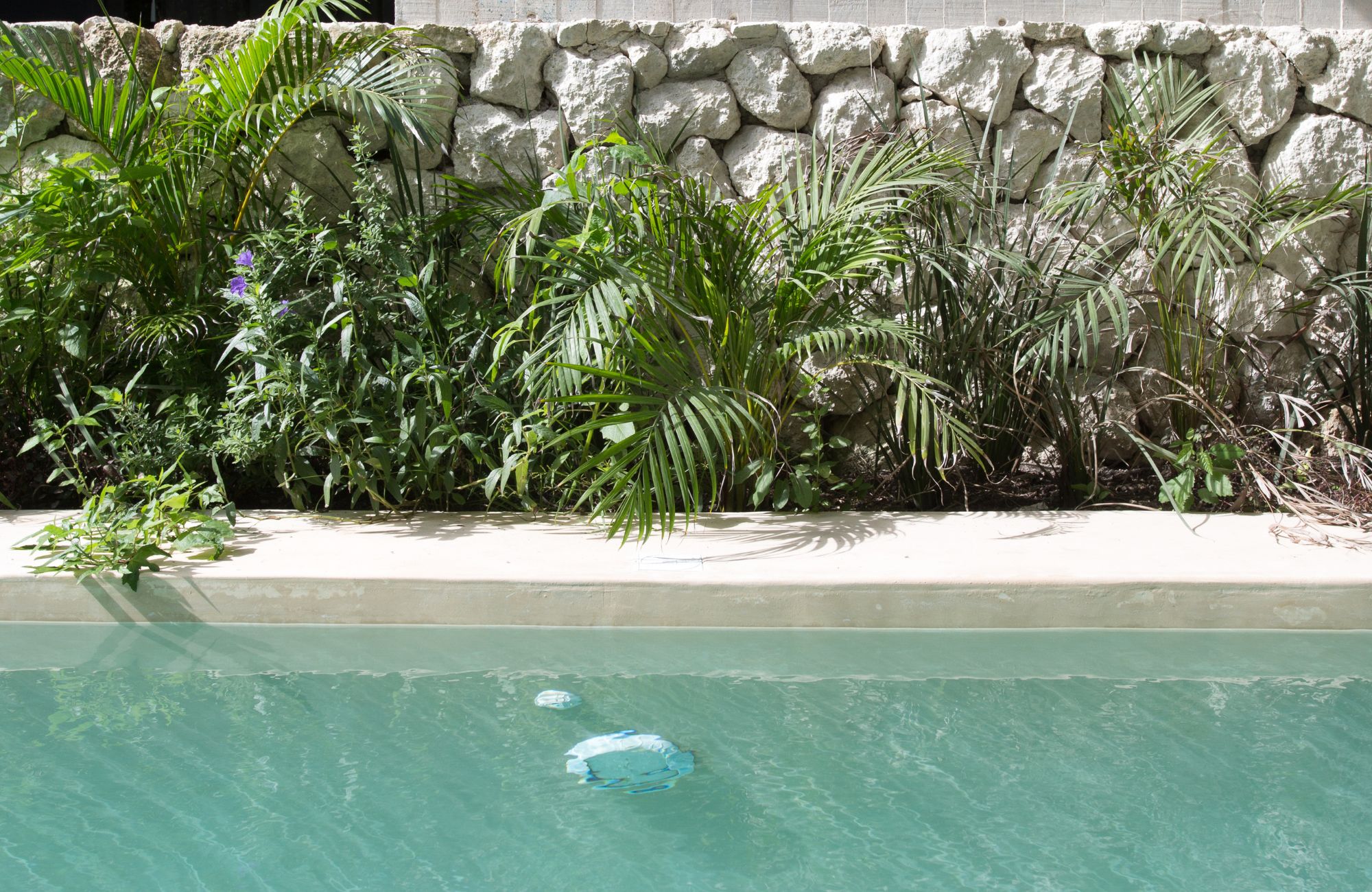 Departamento en la zona mas exclusiva y natural de Tulum