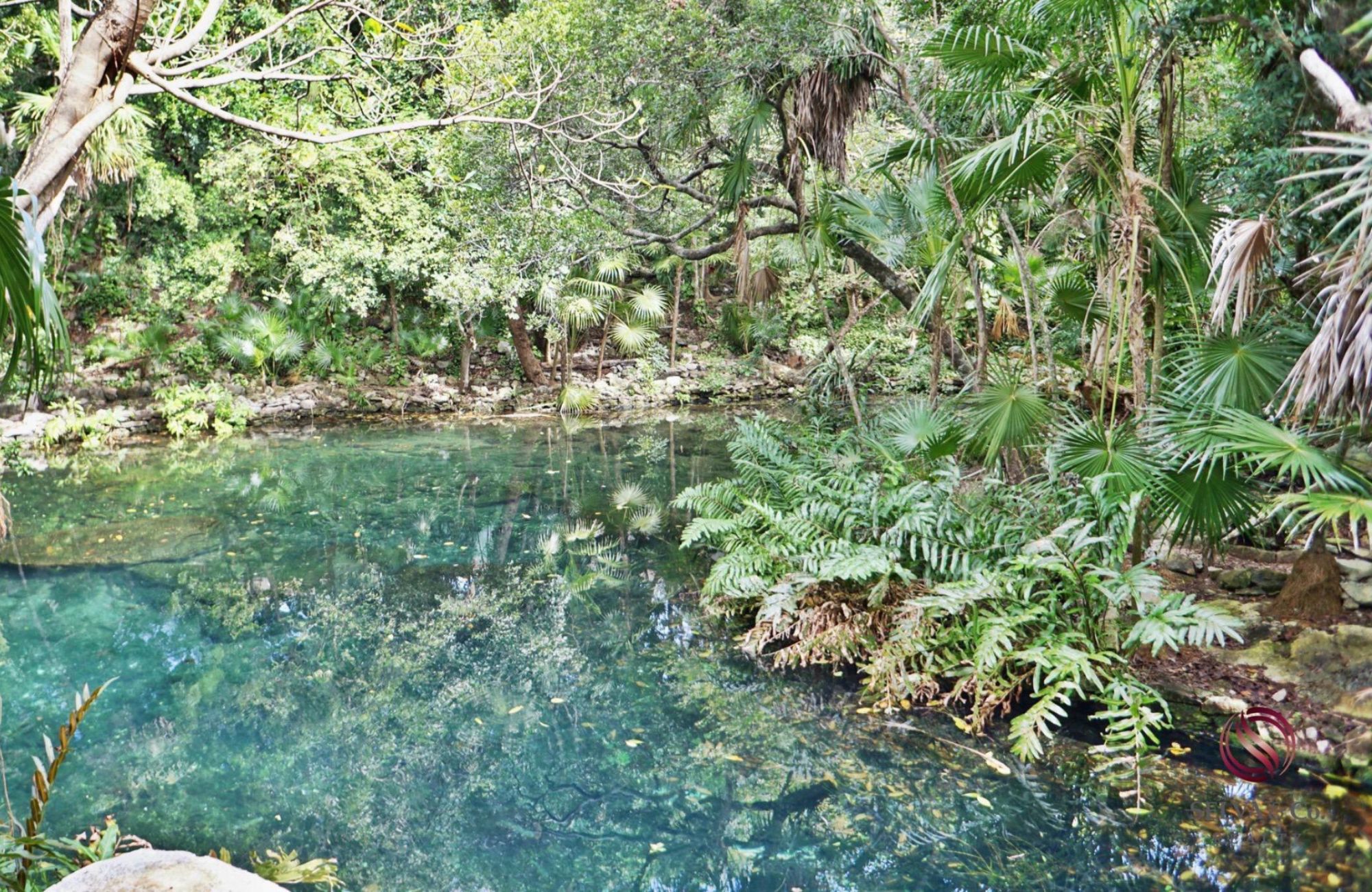 Luxury studio surrounded by green areas for sale in Tulum