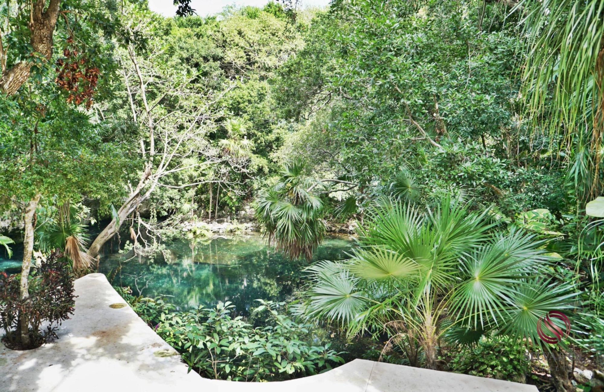 Luxury studio surrounded by green areas for sale in Tulum