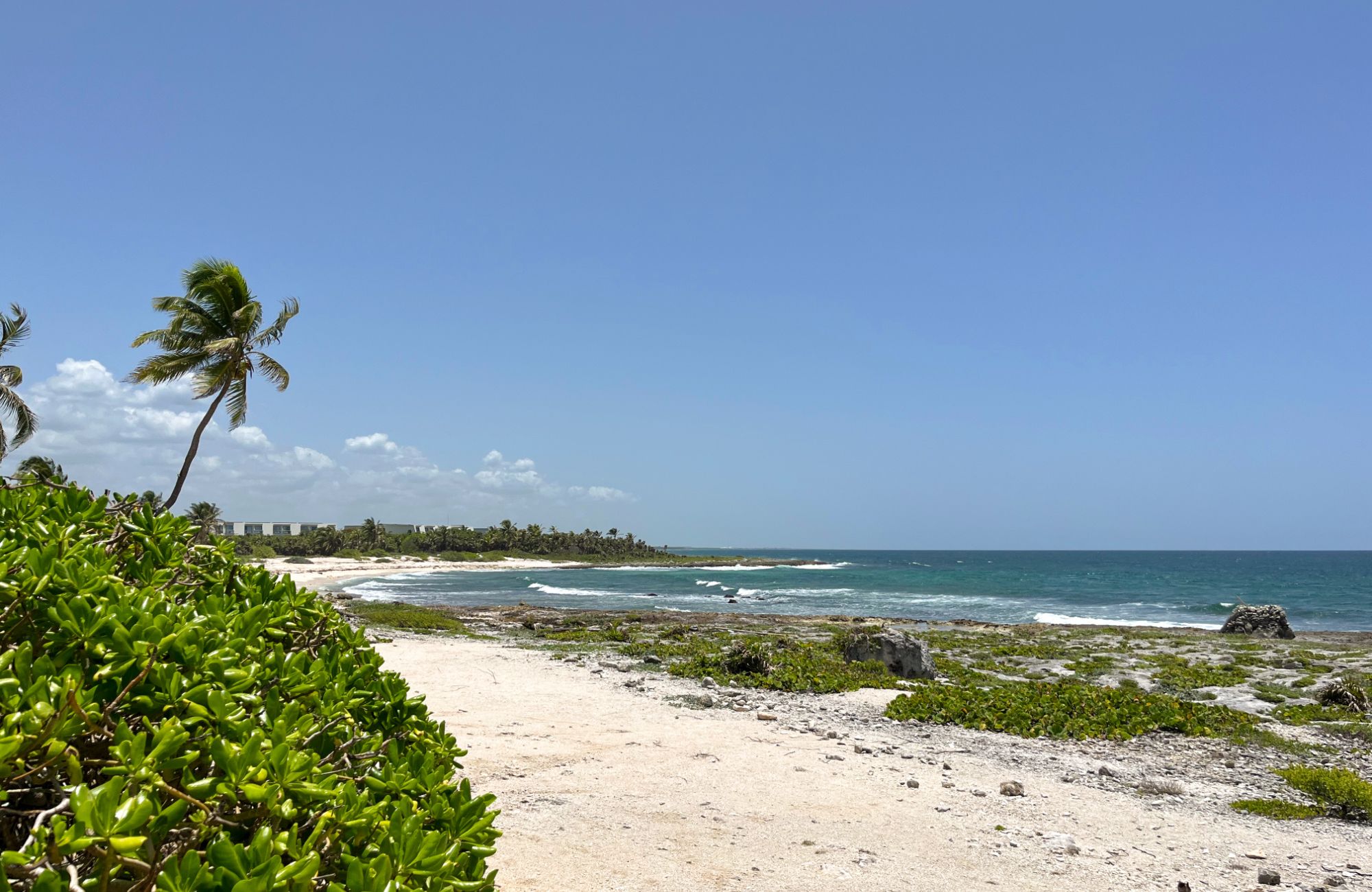 Luxury studio surrounded by green areas for sale in Tulum