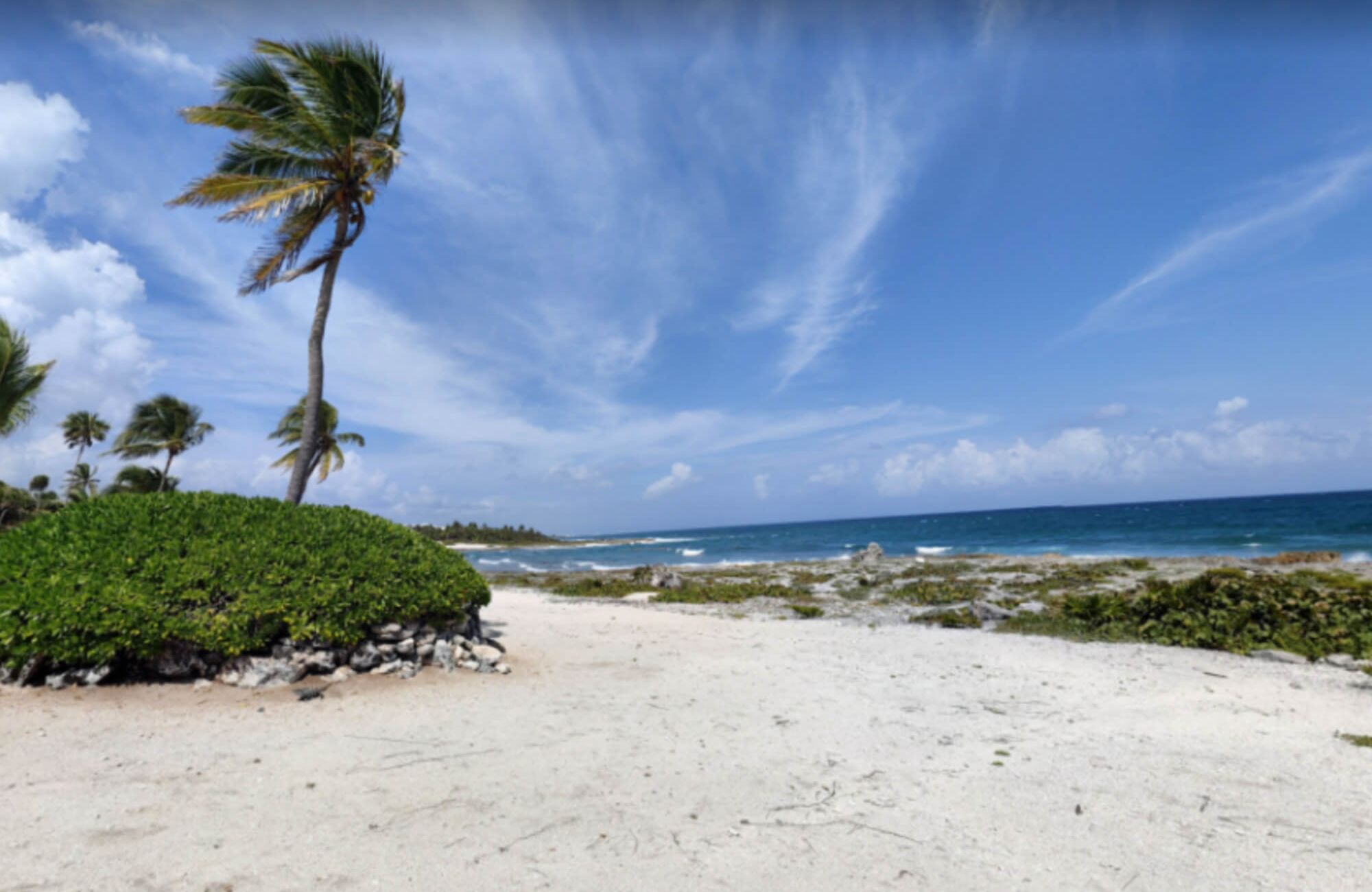 Luxury studio surrounded by green areas for sale in Tulum