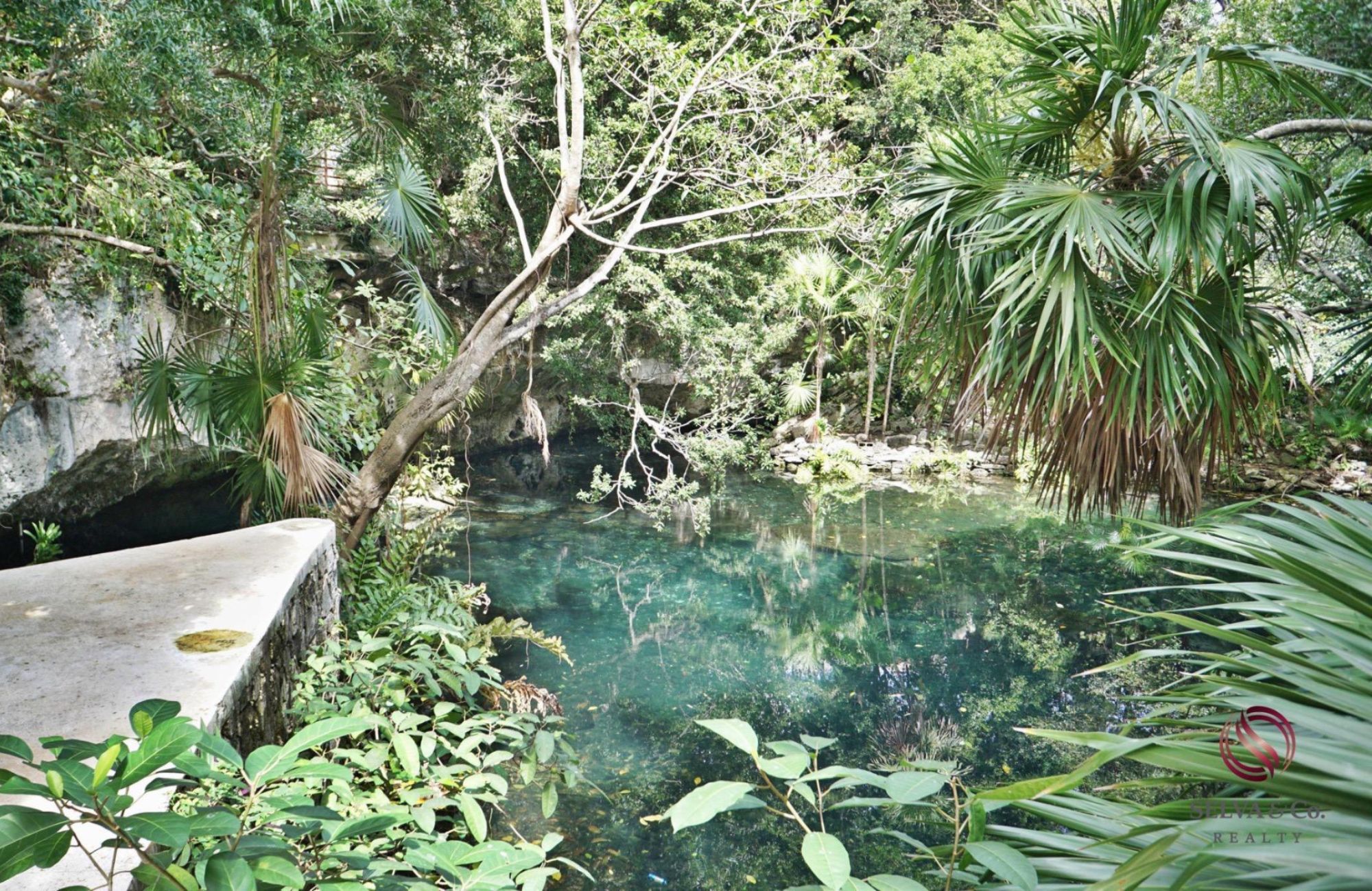 Luxury studio surrounded by green areas for sale in Tulum