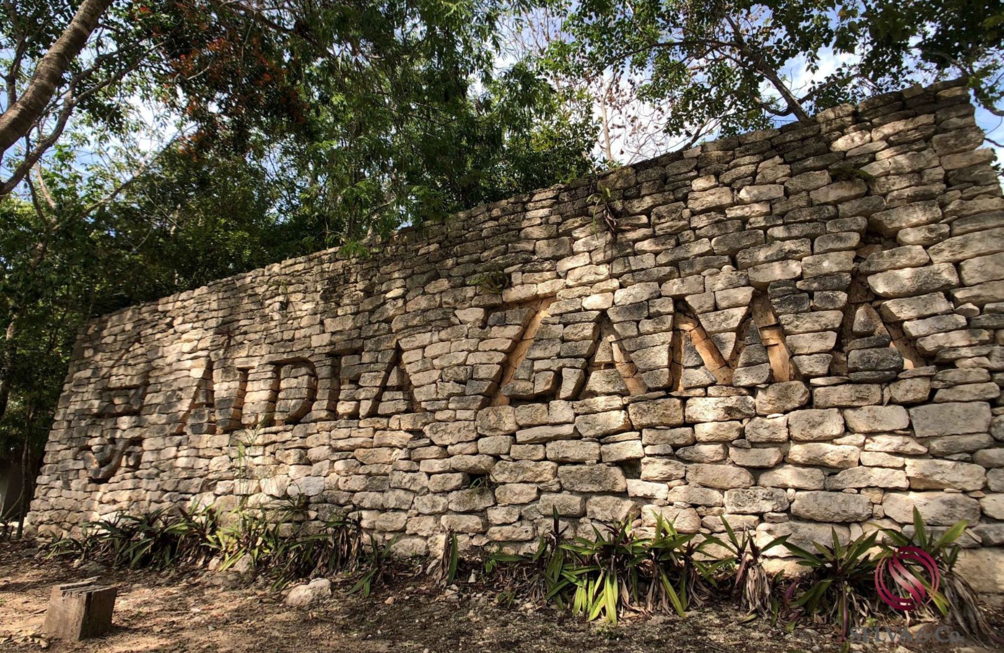 Penthouse in green building with solar panels, luxury common areas, concierge, gym, jacuzzi, 10 minutes from the beach, in Tulum, la veleta,