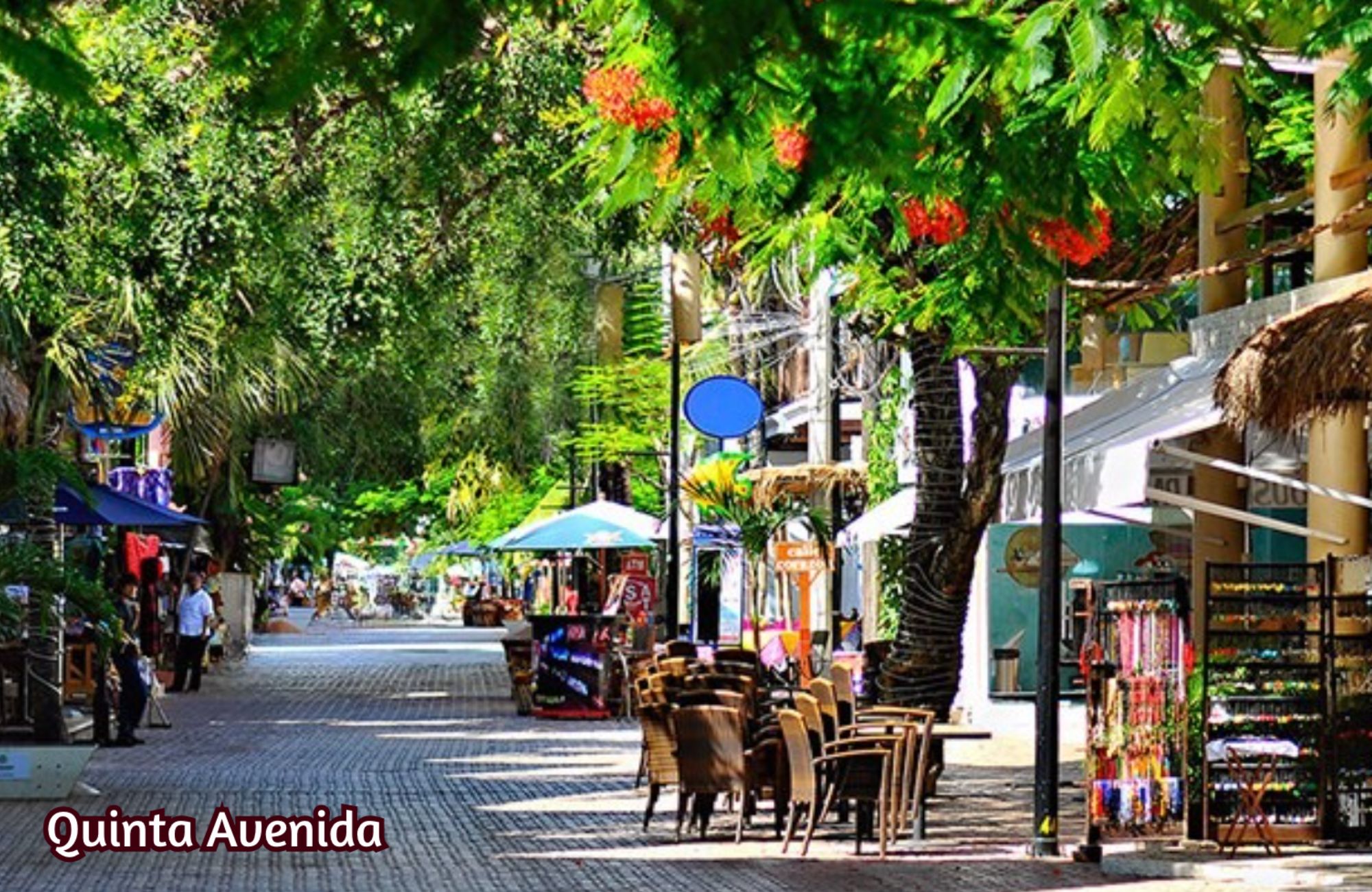 Apartment with pool, hammocks, outdoor cinema for sale Playa del Carmen