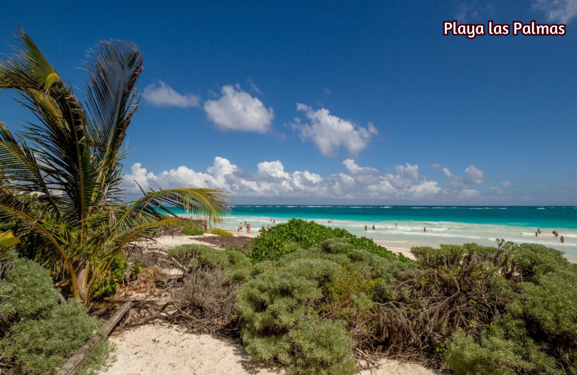 Condo with private pool surrounded by green areas in Tulum