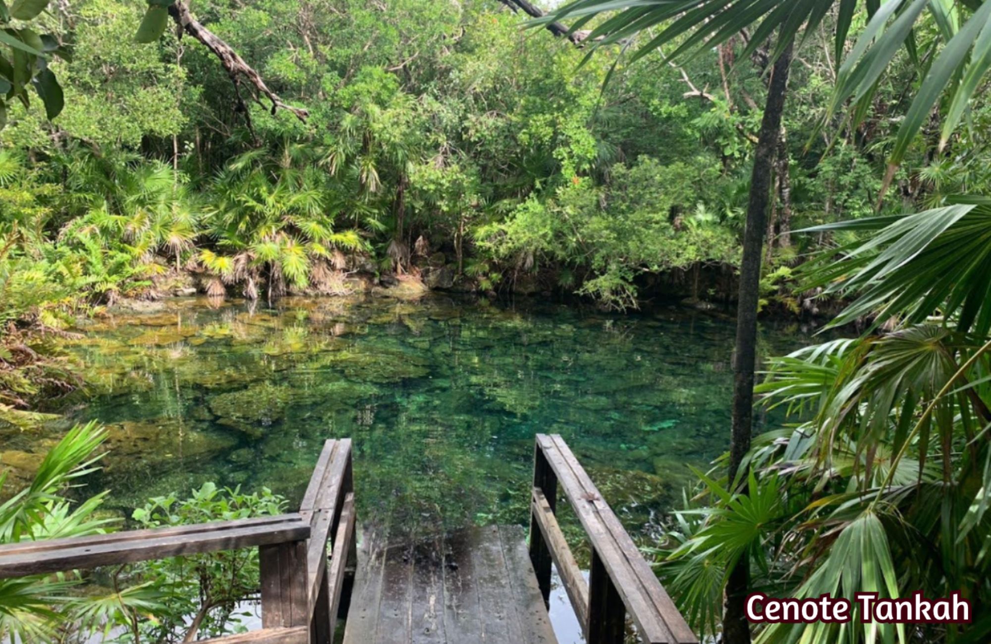 Casa con jard&iacute;n y alberca privada, en venta, Avenida Coba, Tulum