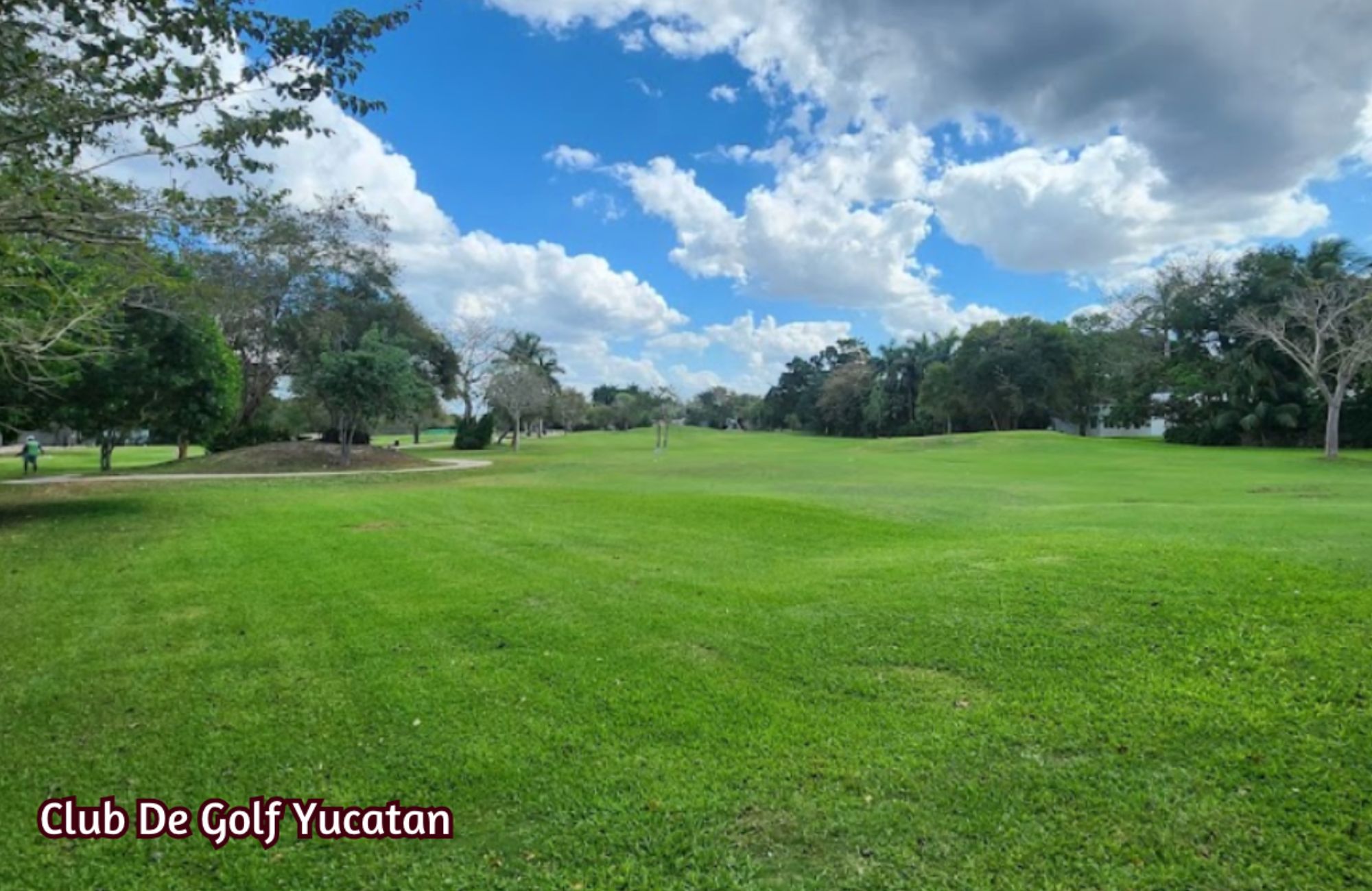 Home with private Pool and Garden, for sale, Country Zone, M&eacute;rida