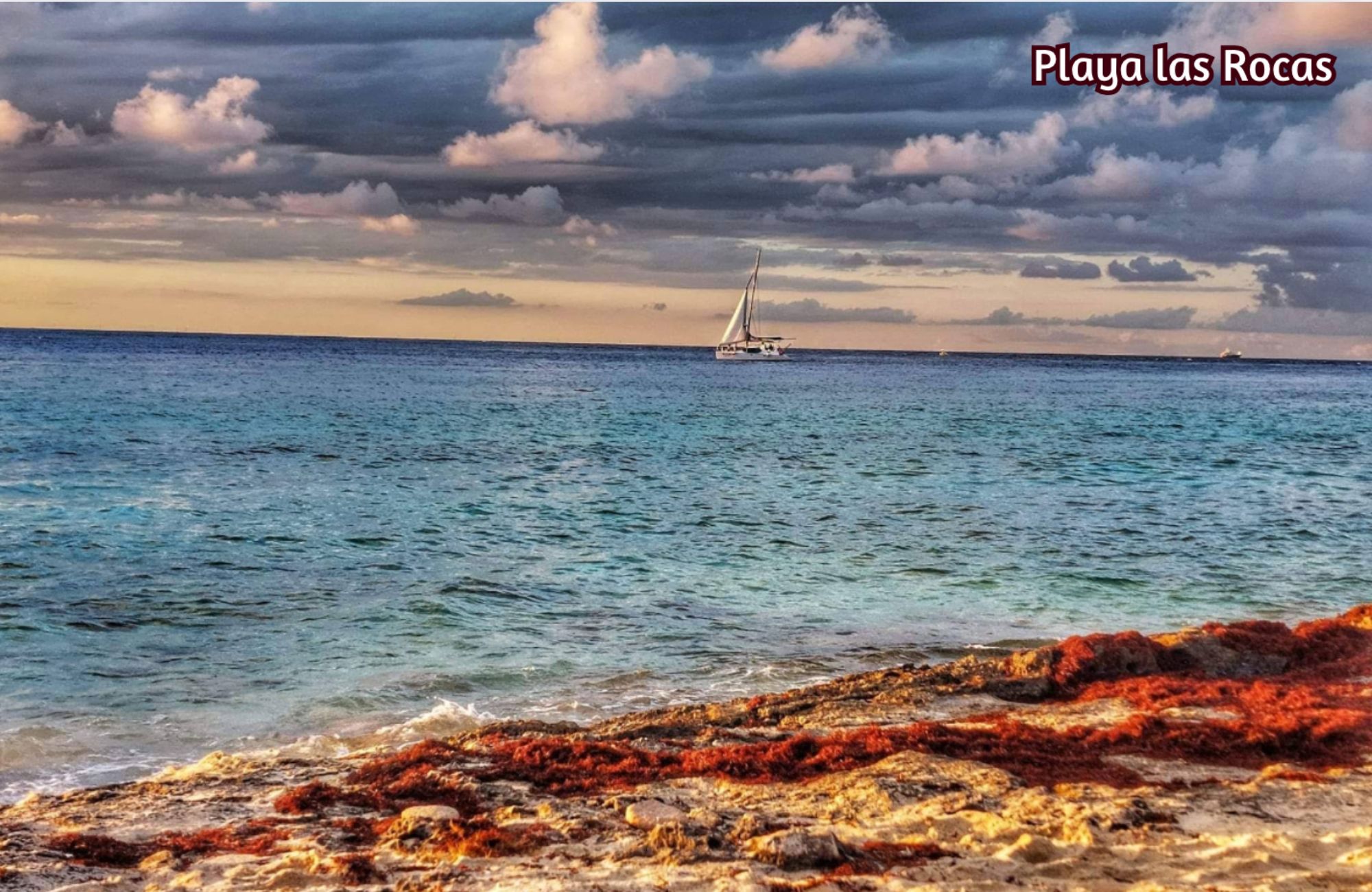 Condominium with balcony, oceanview infinity pool and jacuzzi for sale, downtown area, in Cozumel, Quintana Roo.