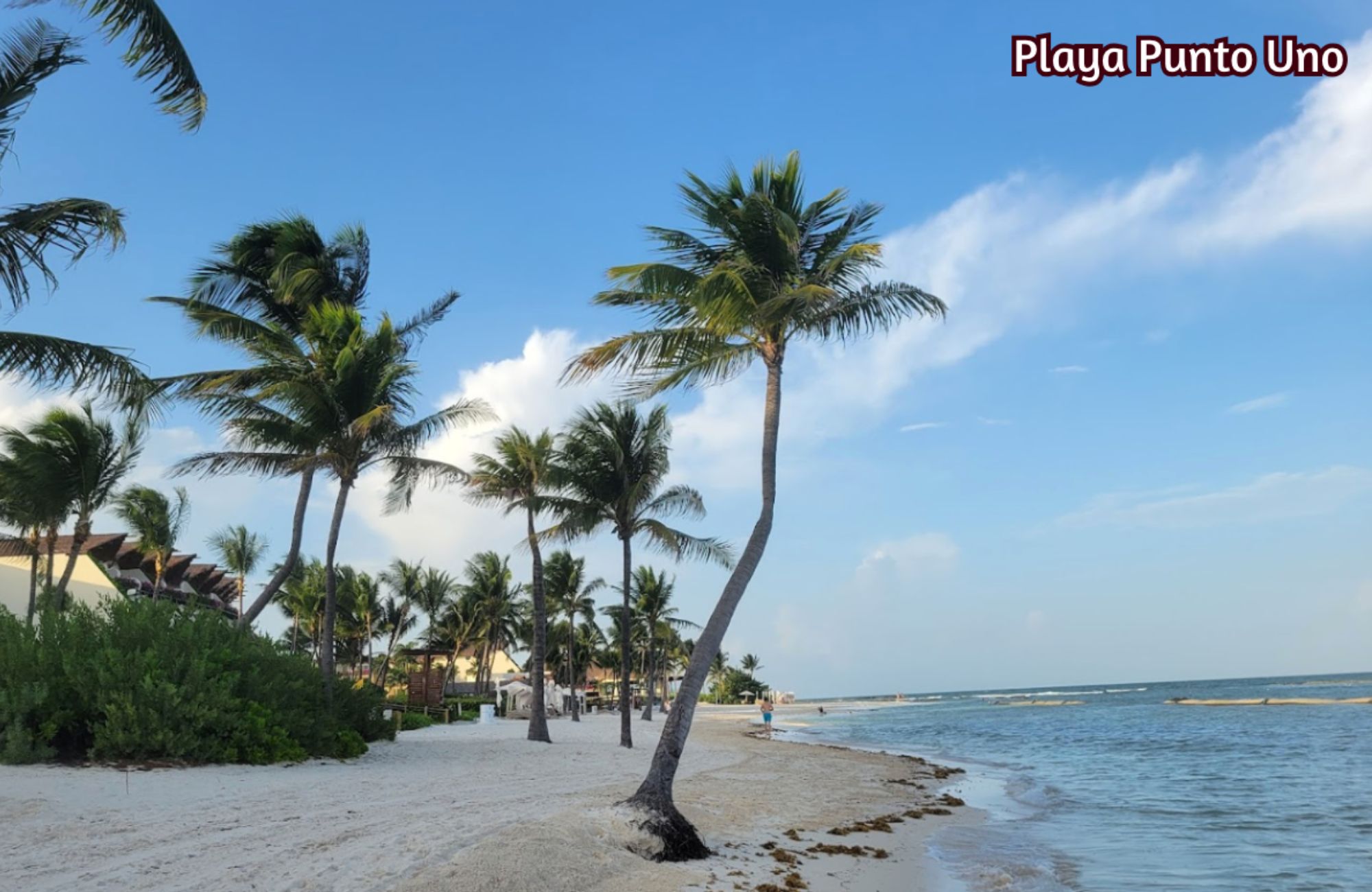 Luxury Home with Rooftop for Sale in Selvamar, Playa del Carmen