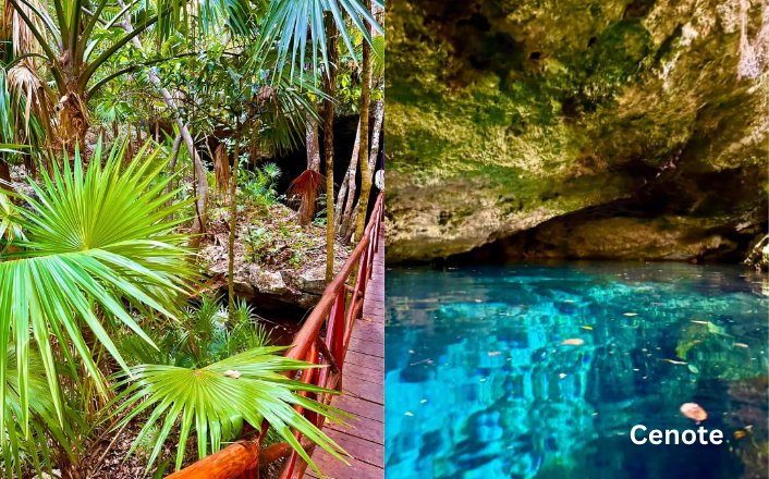 House with garden and private pool, in gated community with amenities for the whole family, for sale, Valenia, Playa del Carmen.