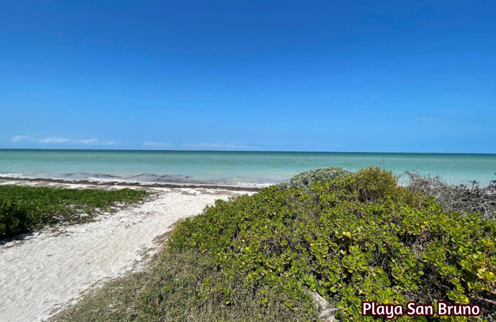 Marina view penthouse with beach club, sea boardwalk, pre-construction, for sale Progreso, Yucatan.