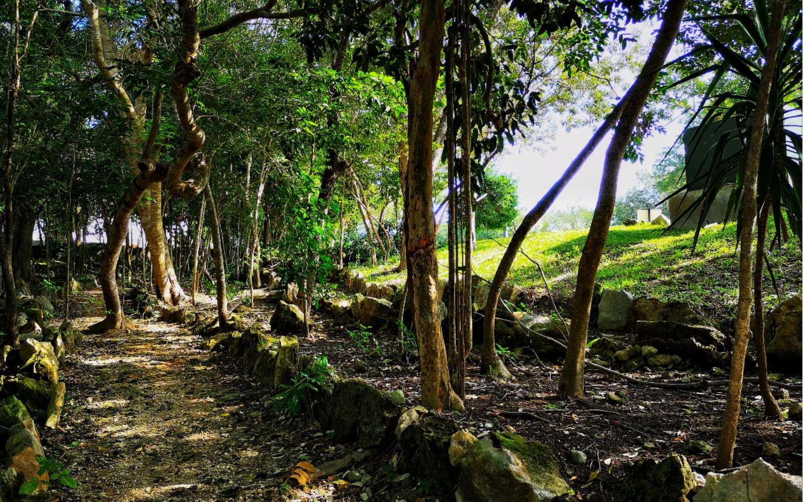 Lot in a private residential community with a clubhouse, sports courts, swimming pool, and dog areas for sale in Playa del Carmen.