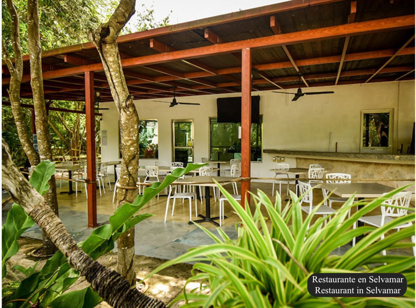 Terreno con casa club, en venta, Carretera Federal Canc&uacute;n-Tulum, Playa del Carmen