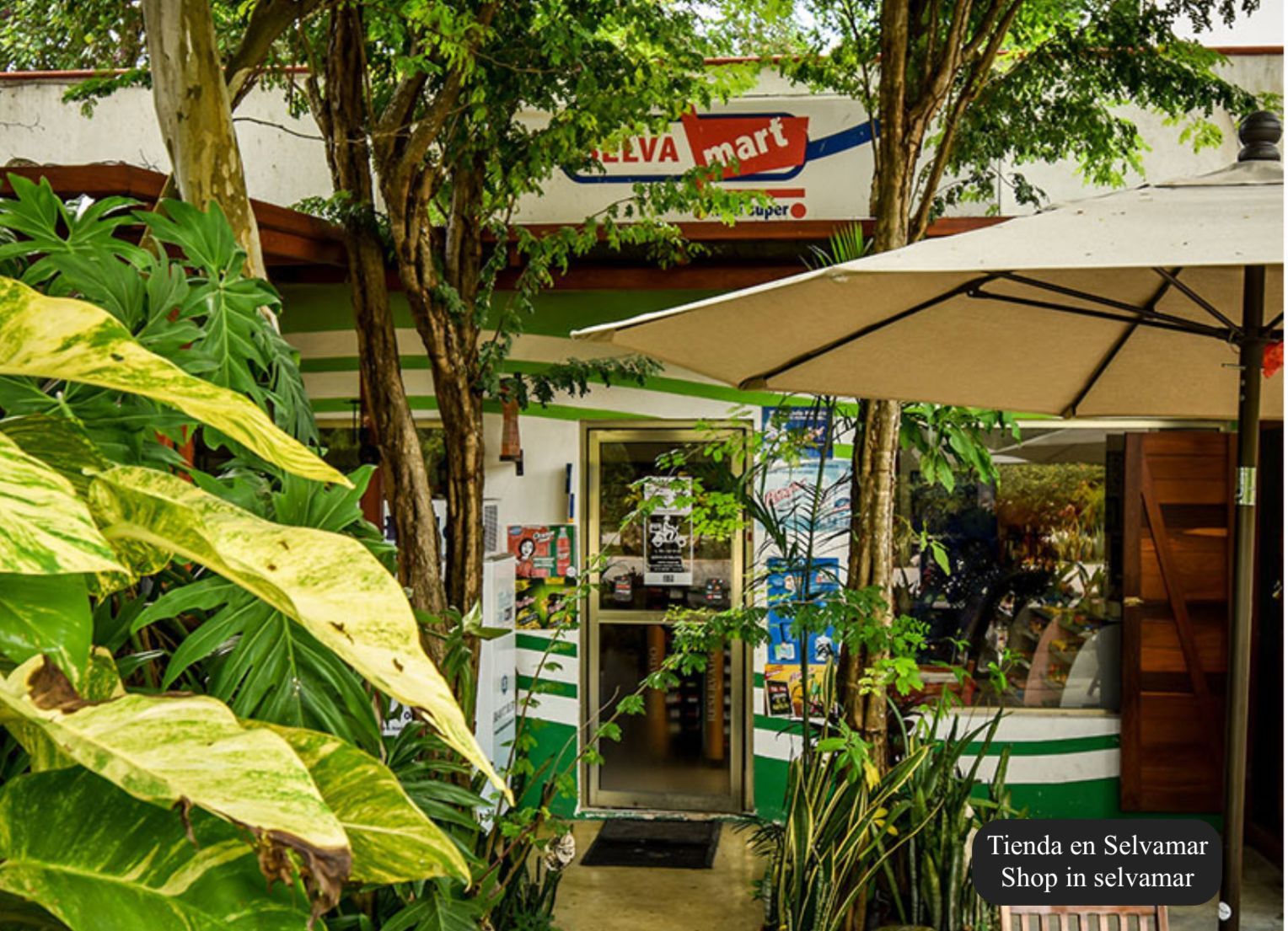 Terreno con casa club, en venta, Carretera Federal Canc&uacute;n-Tulum, Playa del Carmen