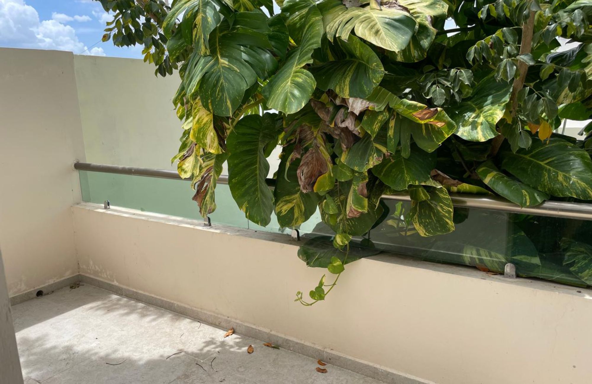 House with rooftop, terrace and patio in downtown M&eacute;rida.