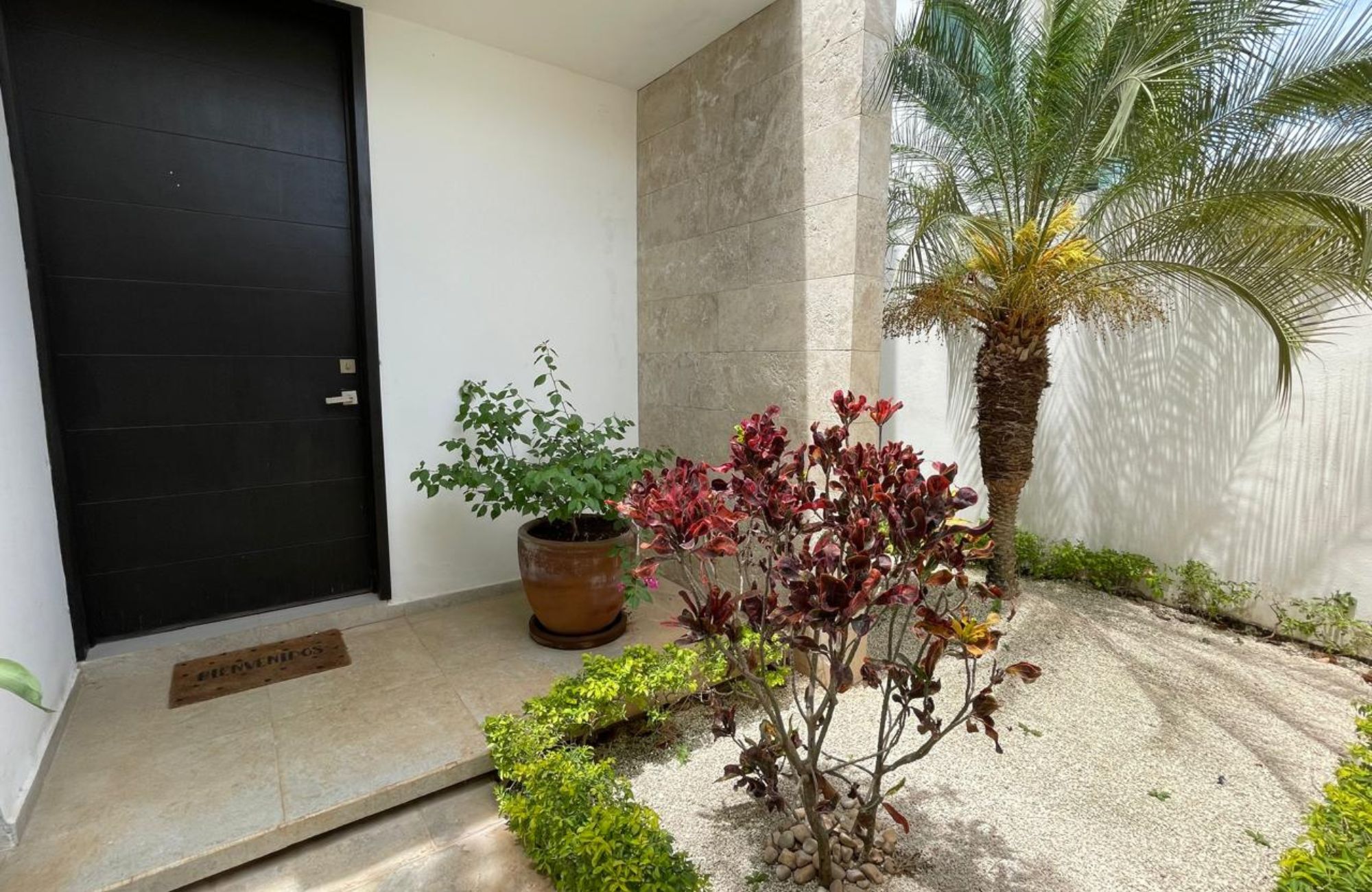 House with rooftop, terrace and patio in downtown M&eacute;rida.