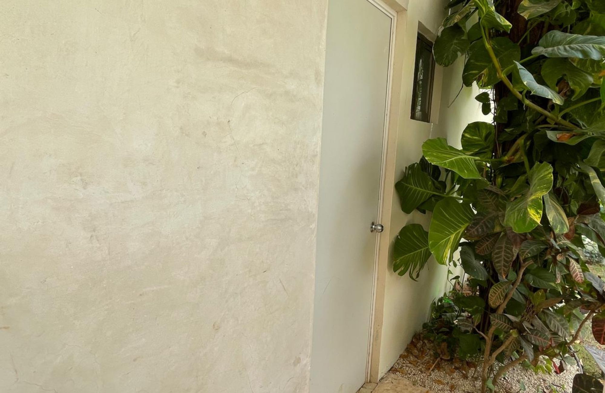 House with rooftop, terrace and patio in downtown M&eacute;rida.