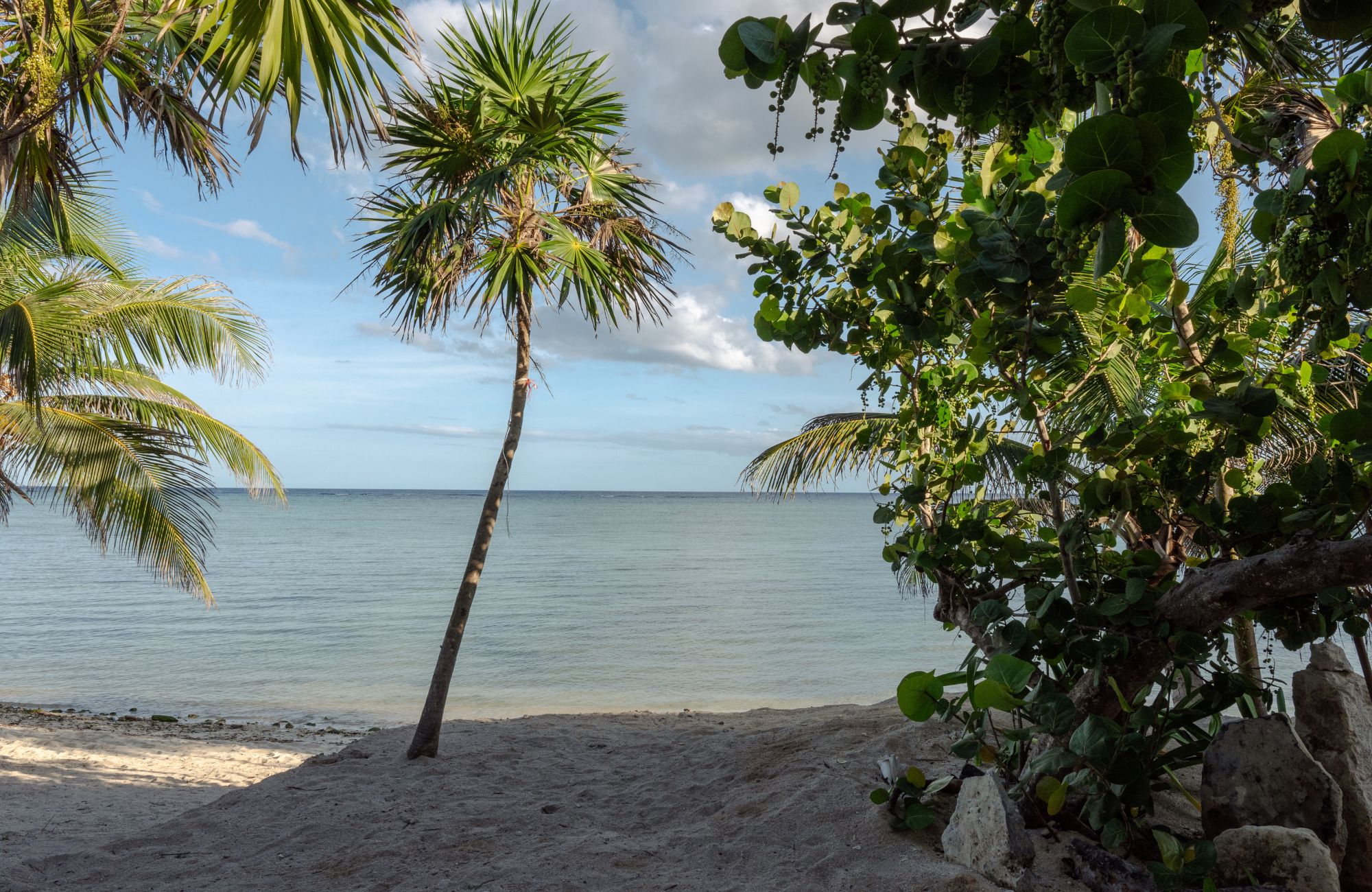 Condo with terrace and balcony, beach club, natural pool, for sale, Tankah, Tulum