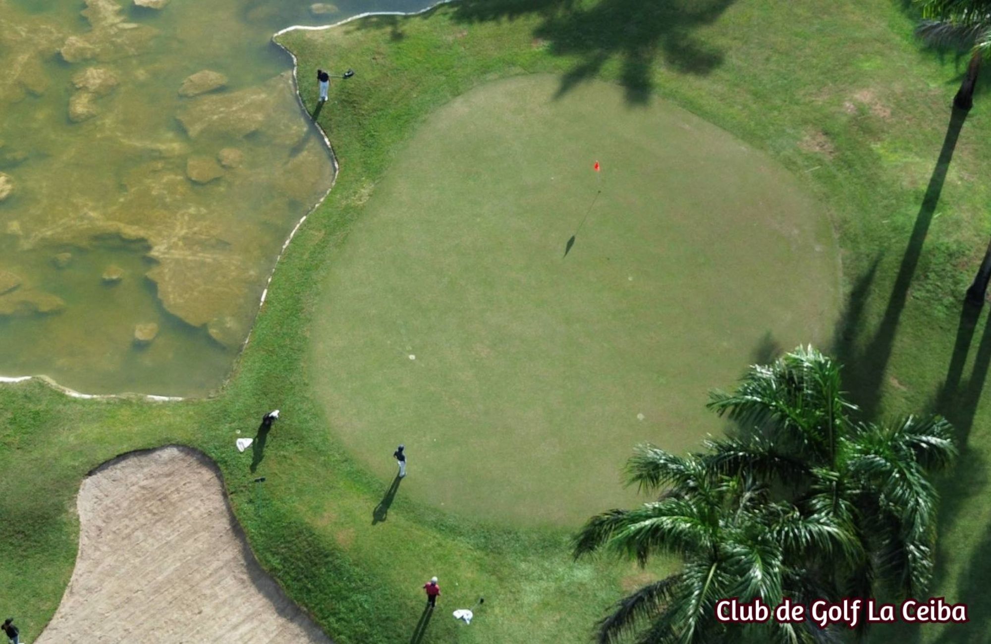 Luxury House with Private Pool for Sale, Yucat&aacute;n Country Club, M&eacute;rida