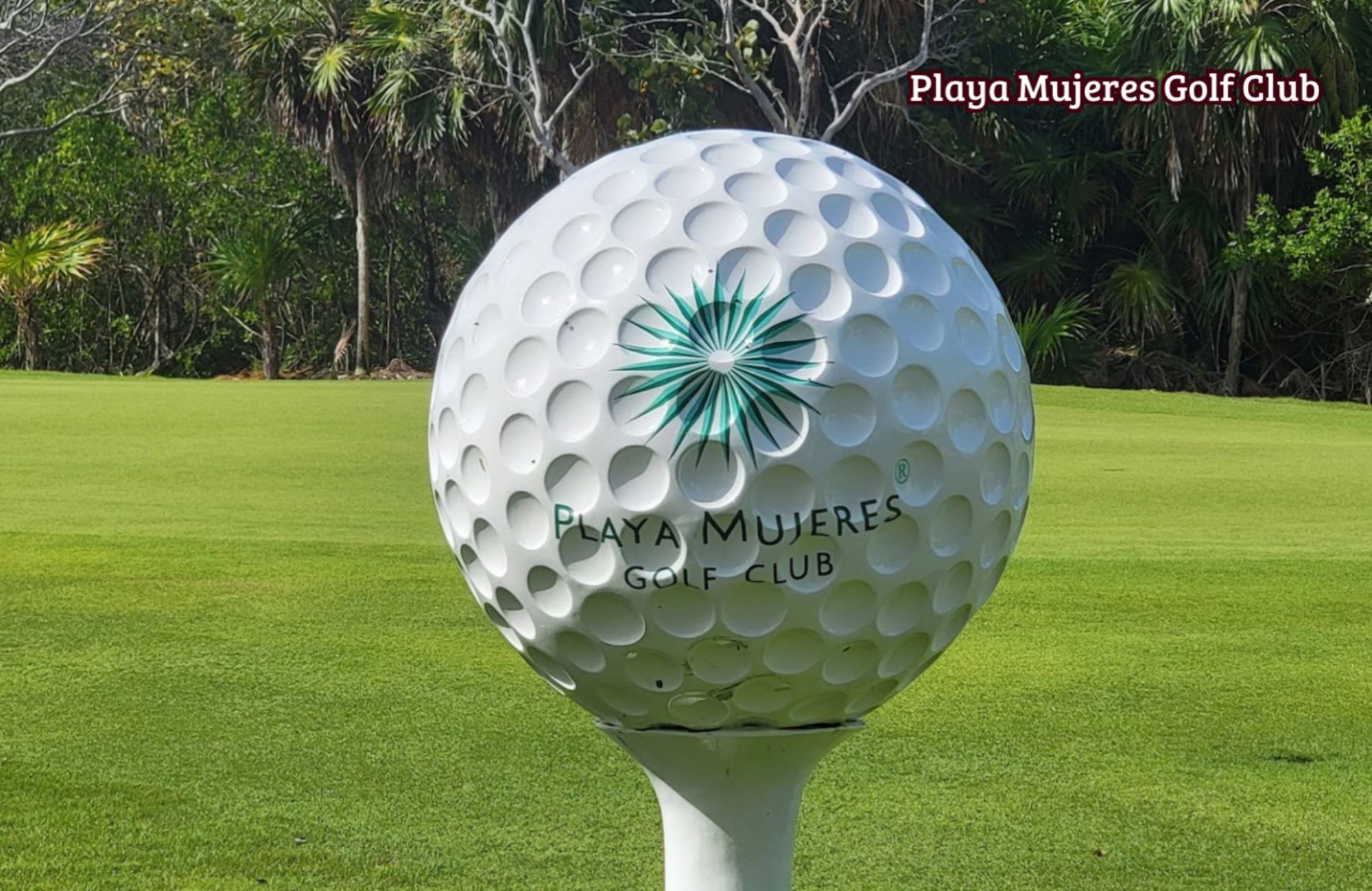 Luxury condo in front of the marina, views of the golf course and nature reserve.