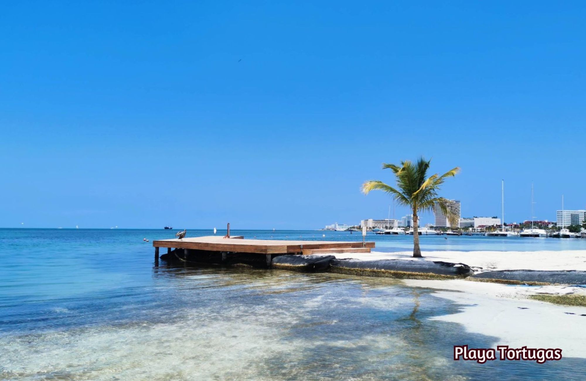 Apartment with concierge, cinema, spa, gym, sky lounge, restaurant, dog area and more amenities in pre-construction, Cancun for sale.