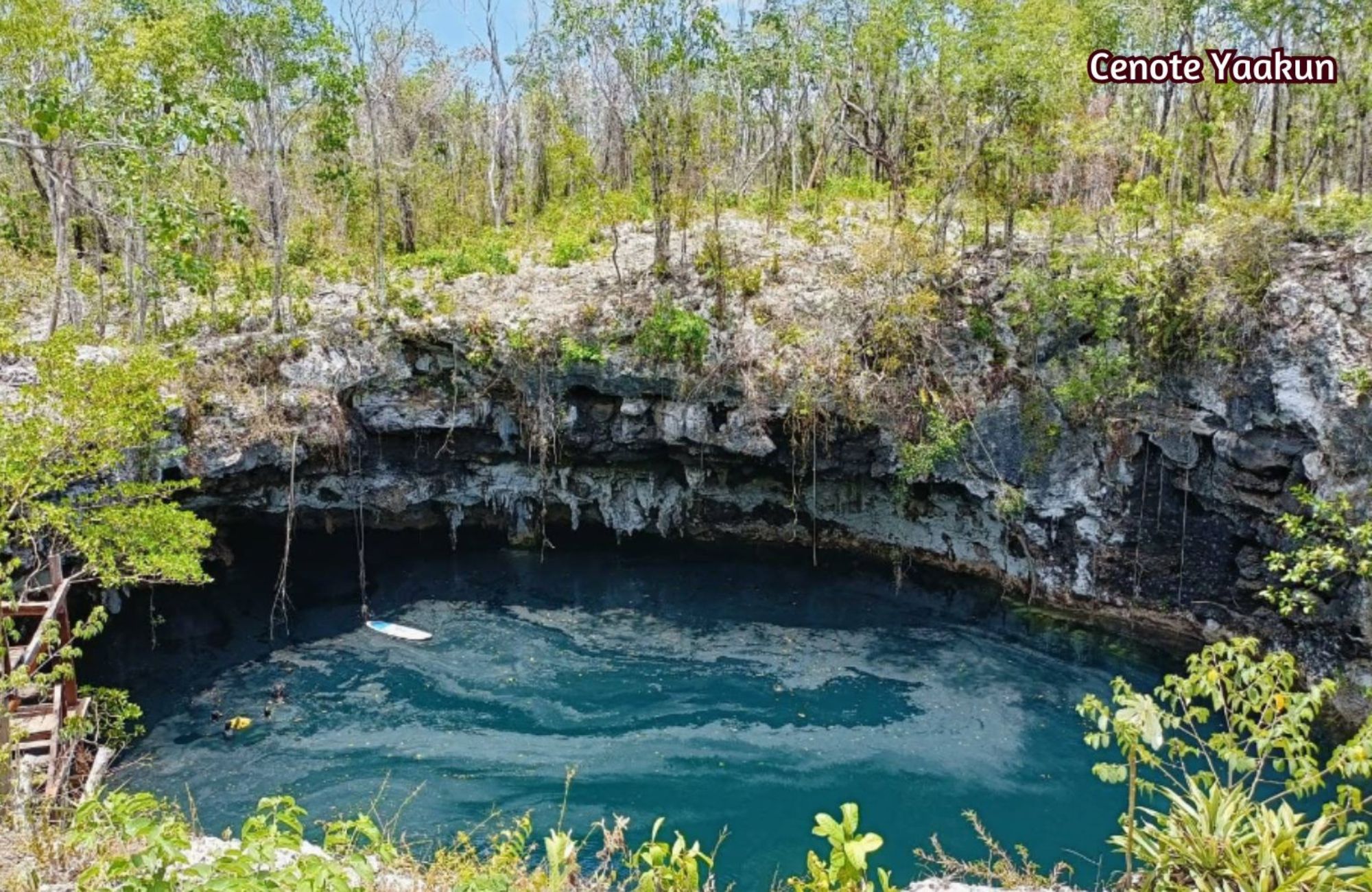 703 m2 lot, in gated community with private cenote, for sale Playa del Carmen.