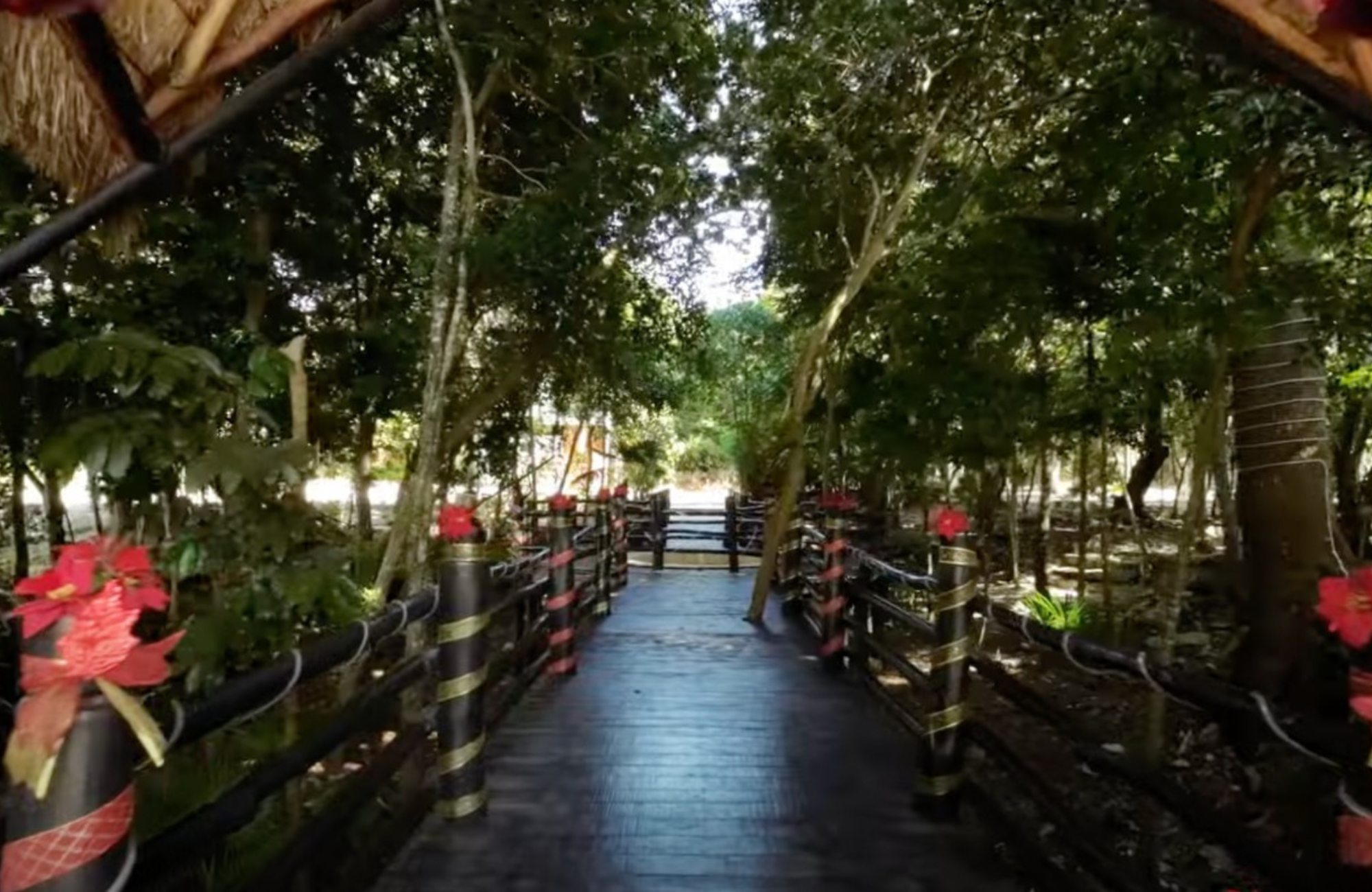 House with Private Terrace &amp; Jacuzzi, Pre-Construction, Aldea Ha, Puerto Morelos