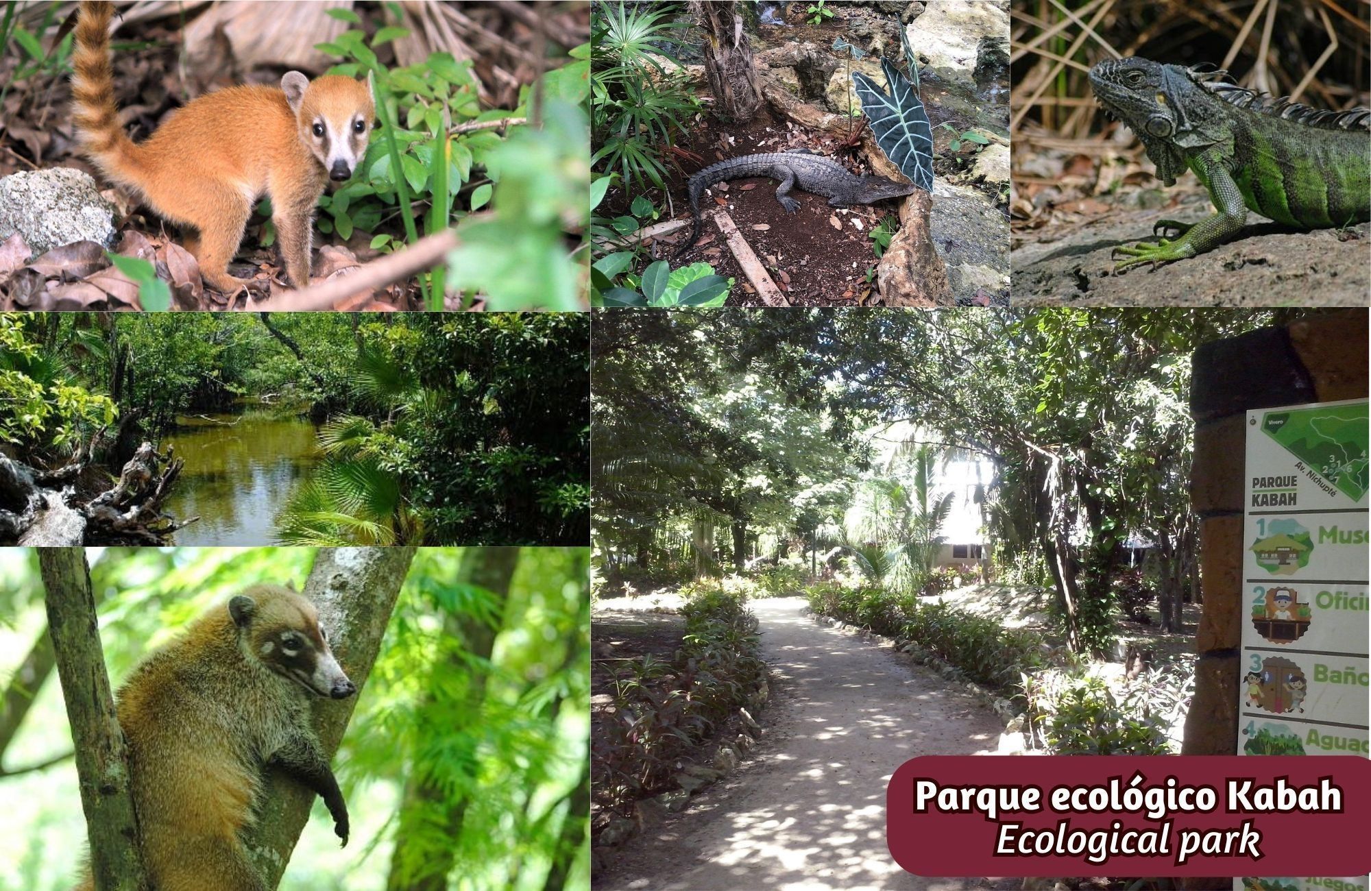 Apartment with pool, terrace, and golf simulator for sale, Puerto Cancun, Cancun.