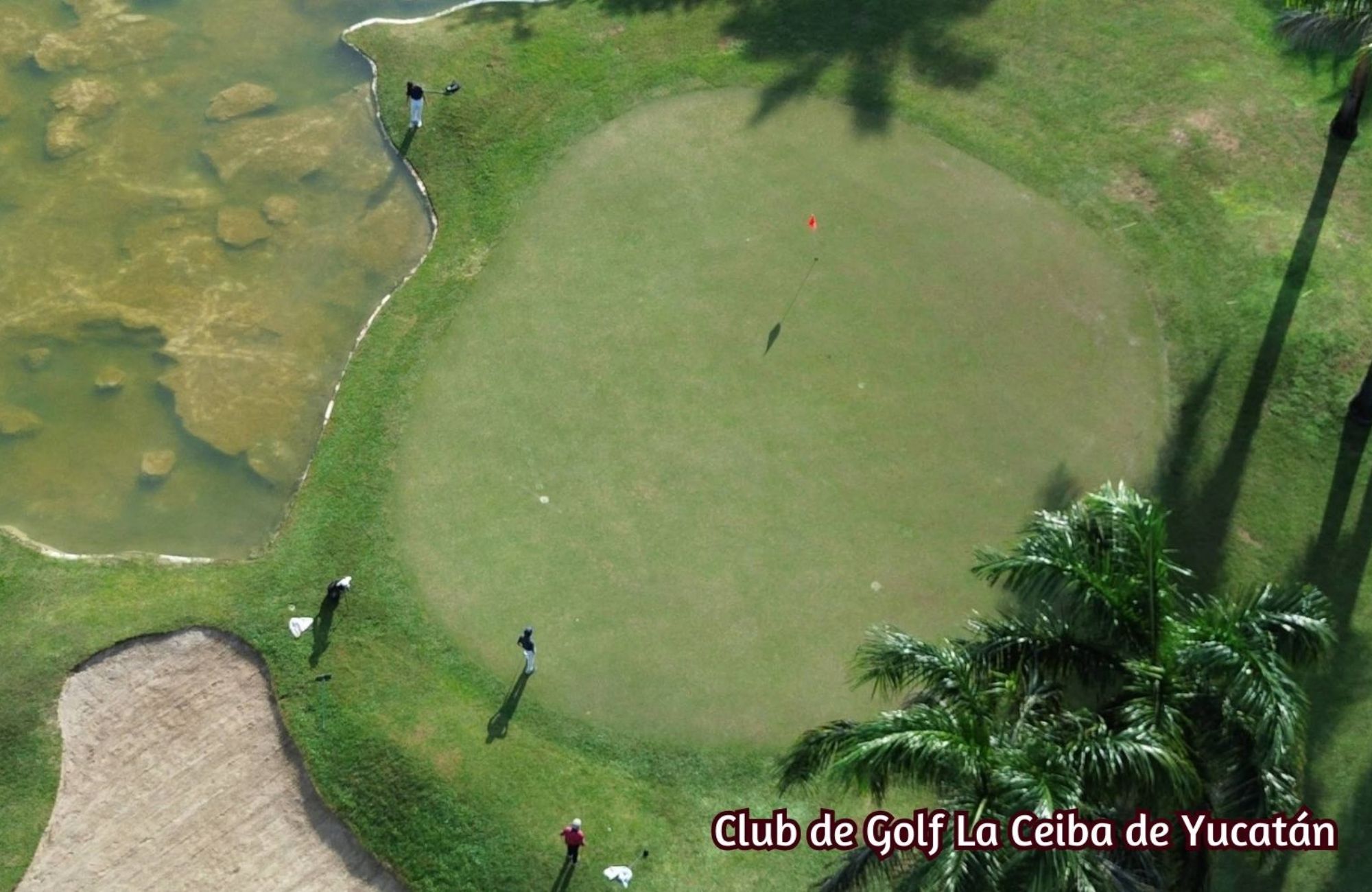 Steps from the beach condominium pool, Chicxulub Puerto, for sale, M&eacute;rida