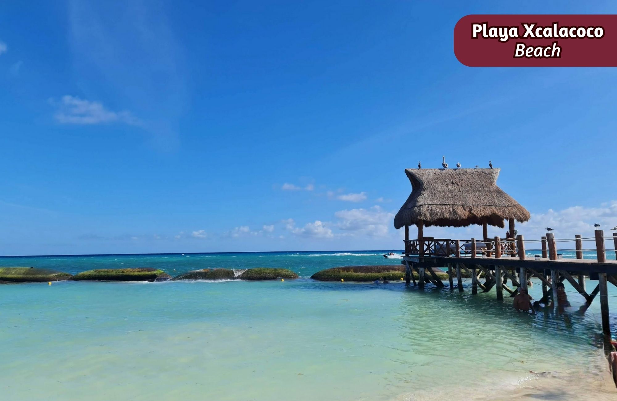 Luxury studio for sale in Playacar, 4 pools, playground for children, Pet zone, gym, clubhouse, restaurant, terrace bar, concierge and more,