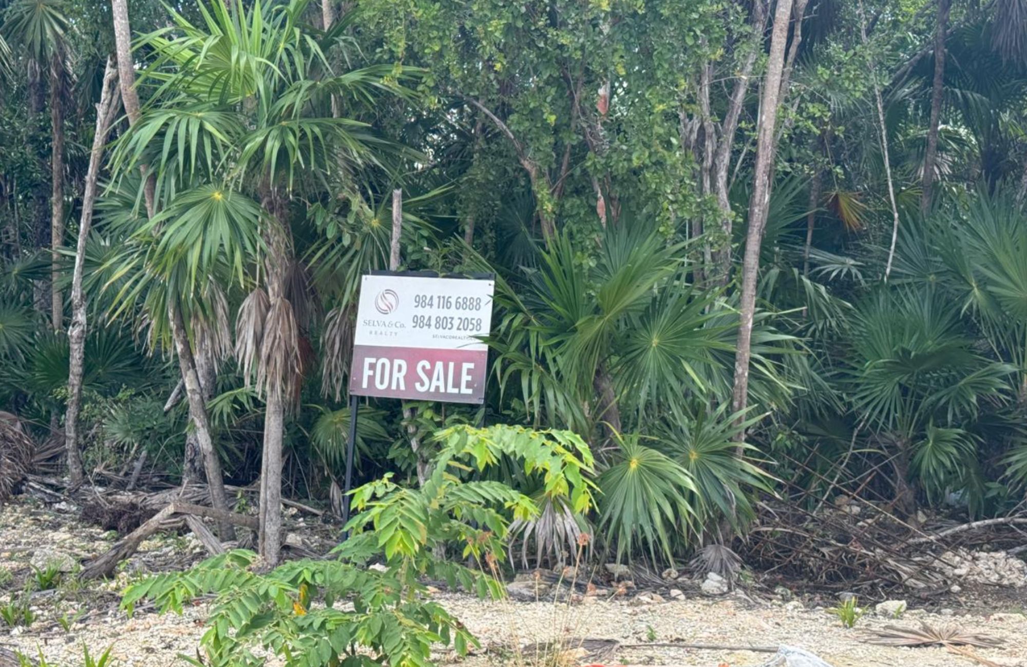 Multifamily land of 1,841 m2 in a luxury residential area for sale, Region 11, Tulum.