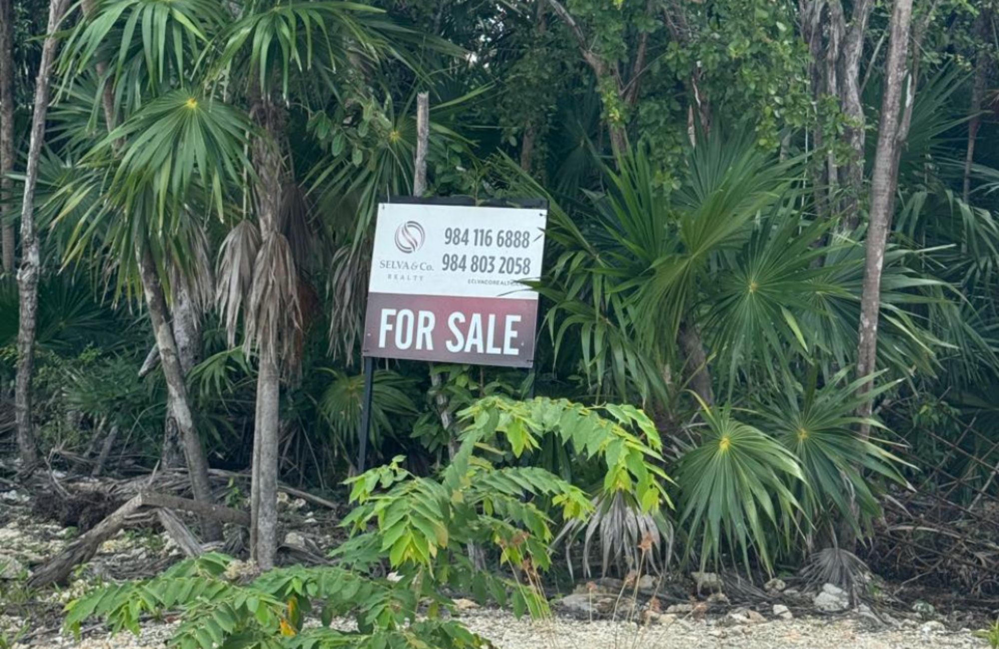 Multifamily land of 1,841 m2 in a luxury residential area for sale, Region 11, Tulum.