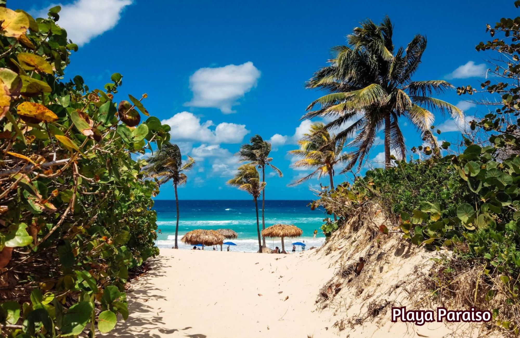 Multifamily land of 1,841 m2 in a luxury residential area for sale, Region 11, Tulum.