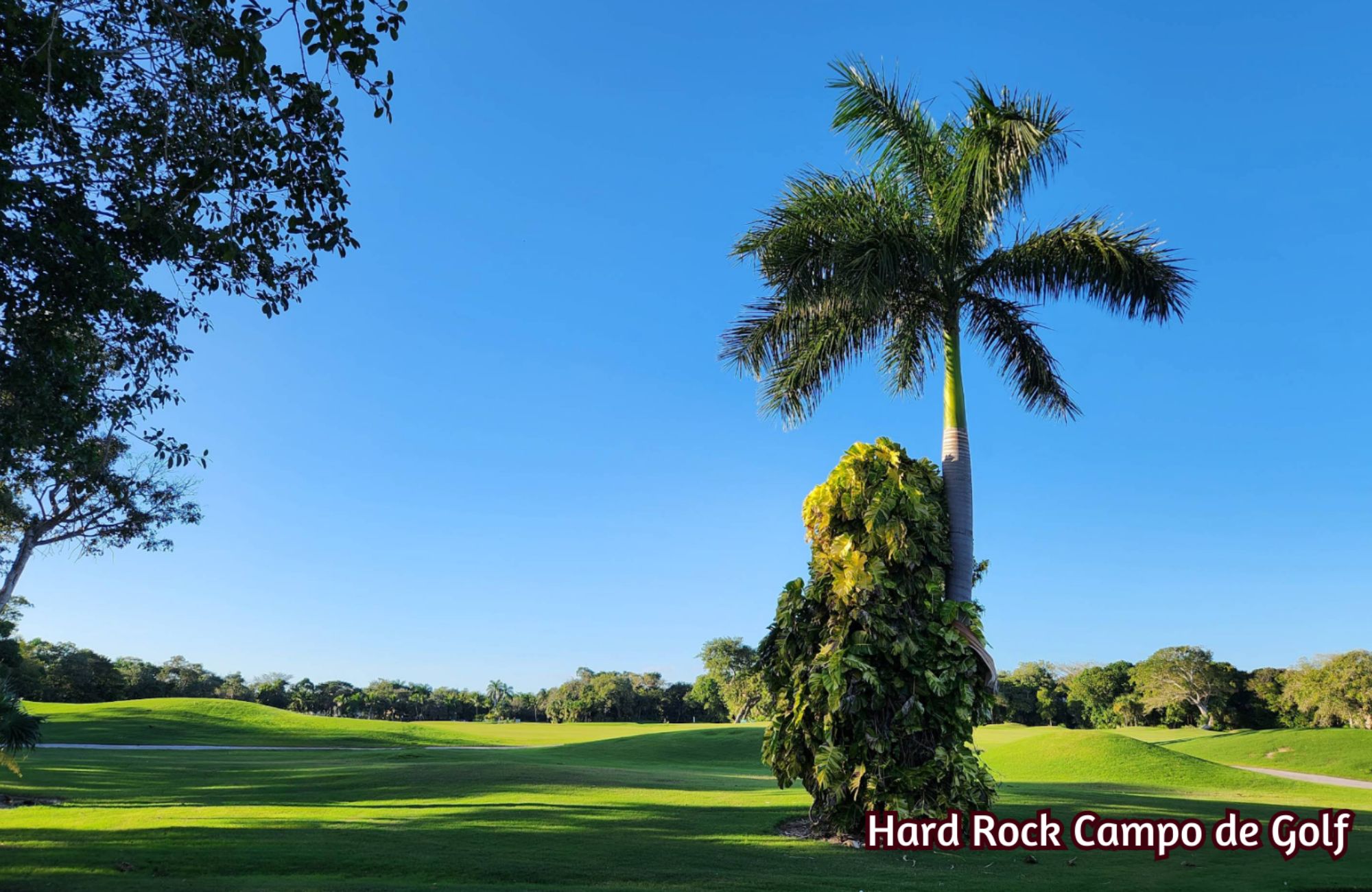 Condo with club house, 20,000 m2 of green areas, pool, playground, gym, dog park and more for sale Playa del Carmen