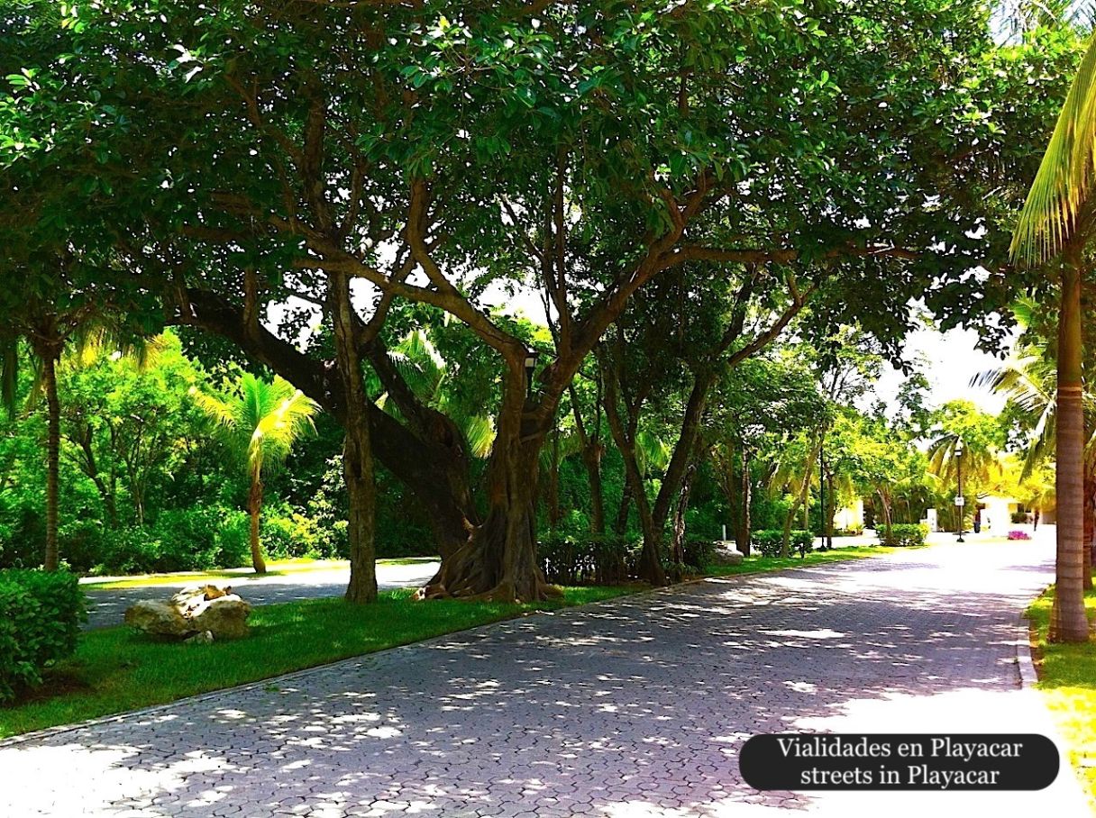 Condominium 350 meters from the sea, ocean view pool, art gallery, unique design, roof garden with jacuzzi, for sale in Playa del Carmen.