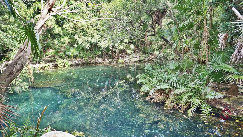 Luxury studio surrounded by green areas for sale in Tulum