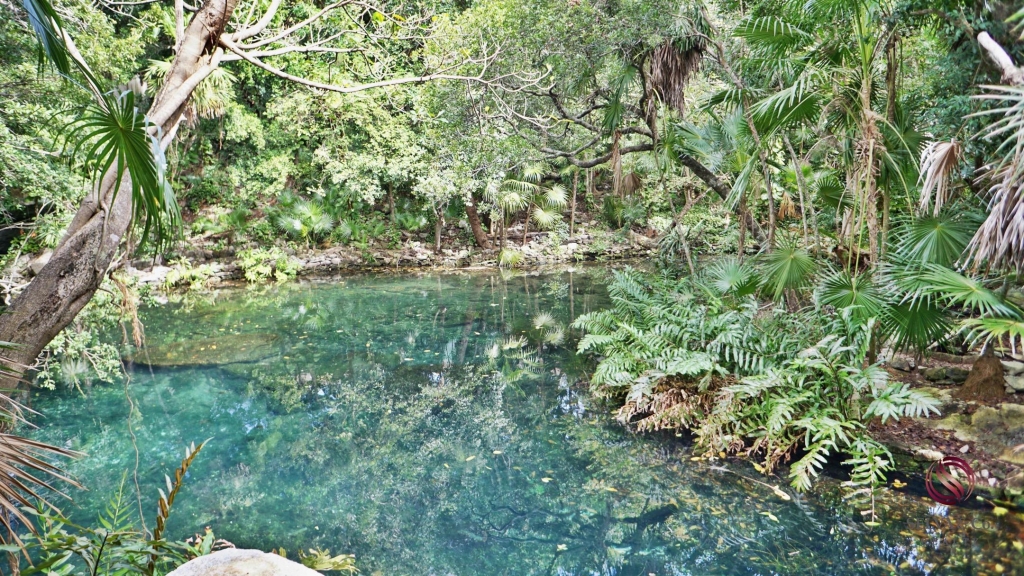 Luxury studio surrounded by green areas for sale in Tulum