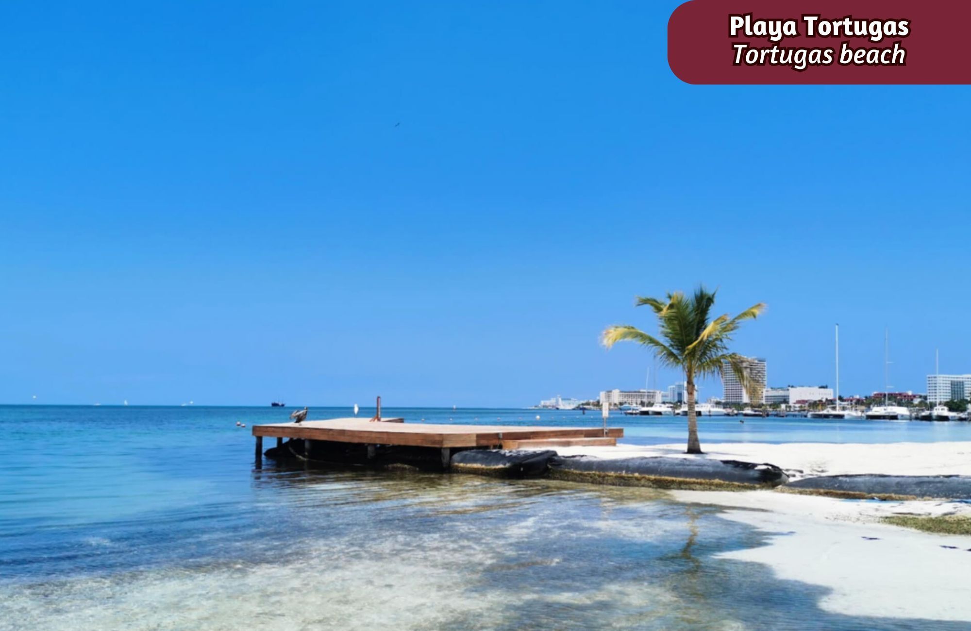 Casa con alberca privada, techos altos, en venta Residencial Aqua, Canc&uacute;n