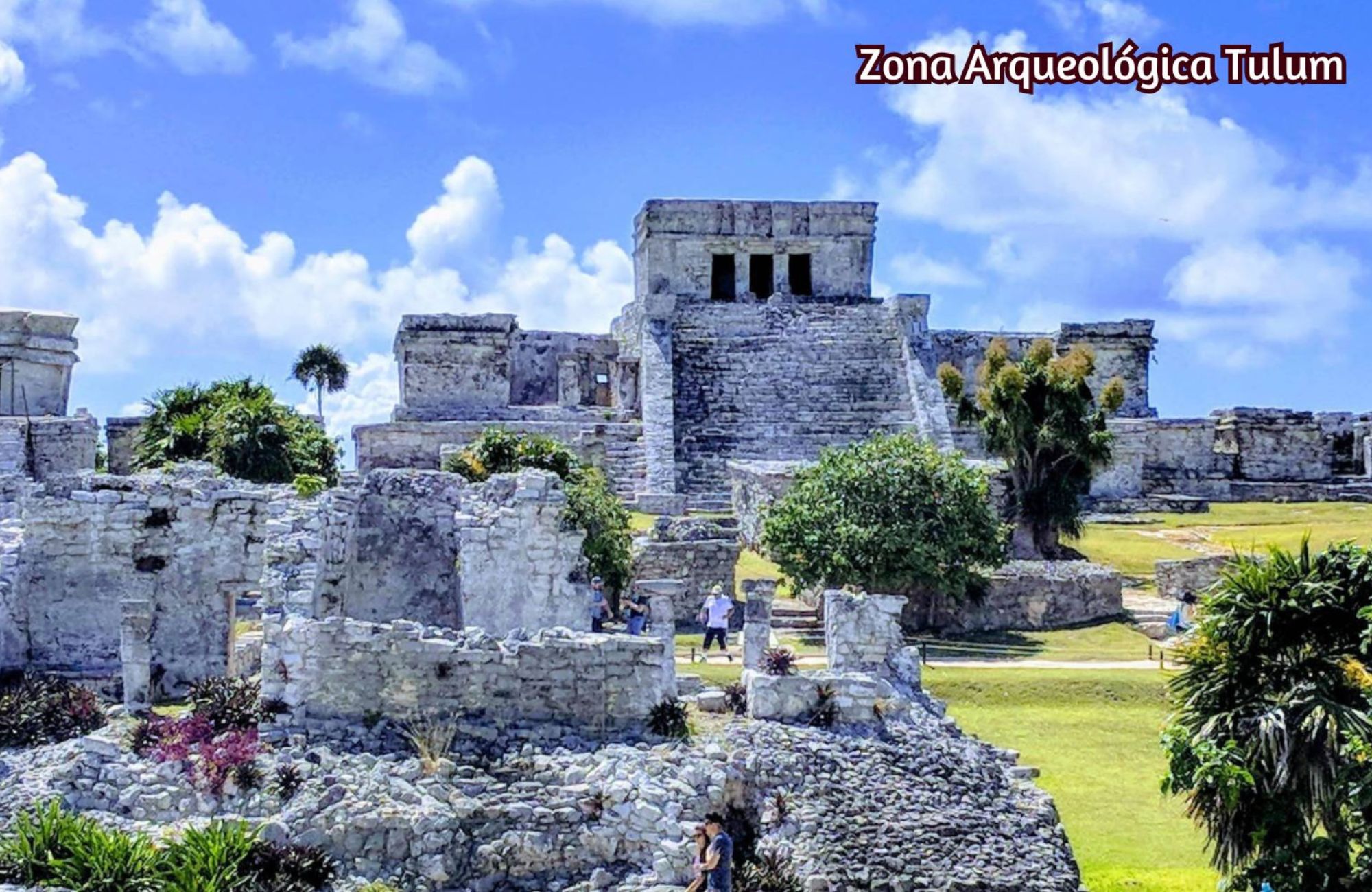 Swim up condo, direct access to the pool from your terrace, gym, restaurant, outdoor yoga area, bicycles, 5 minutes from the beach